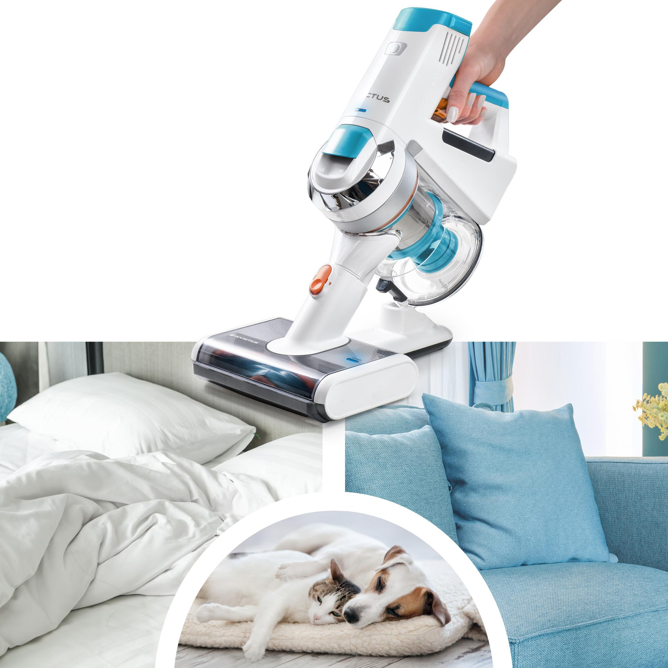Ein weißer und blauer Staubsauger wird von einer Hand über einem Bett, einer Couch und Haustieren gehalten.