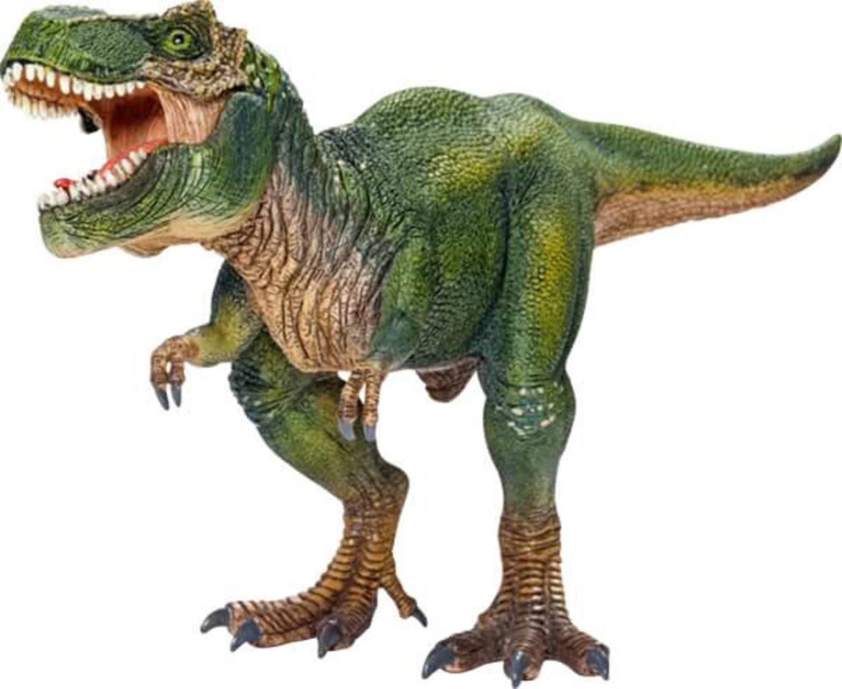 Un modello di dinosauro T-Rex verde con un corpo marrone e beige su sfondo bianco.