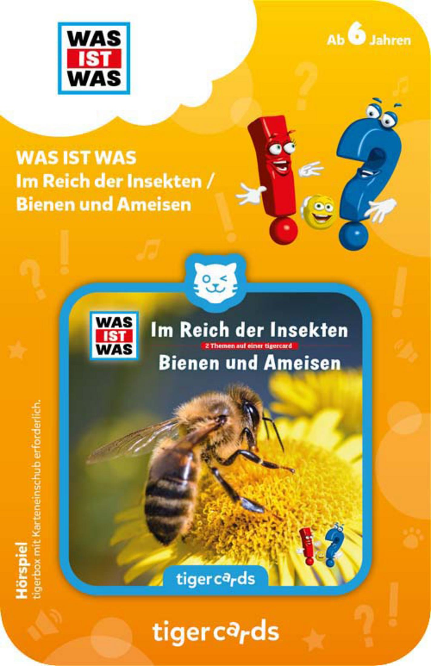 Was ist Was Tiger Cards mit einer Biene auf einer Blume und verschiedenen Cartoon-Frage- und Ausrufezeichen.