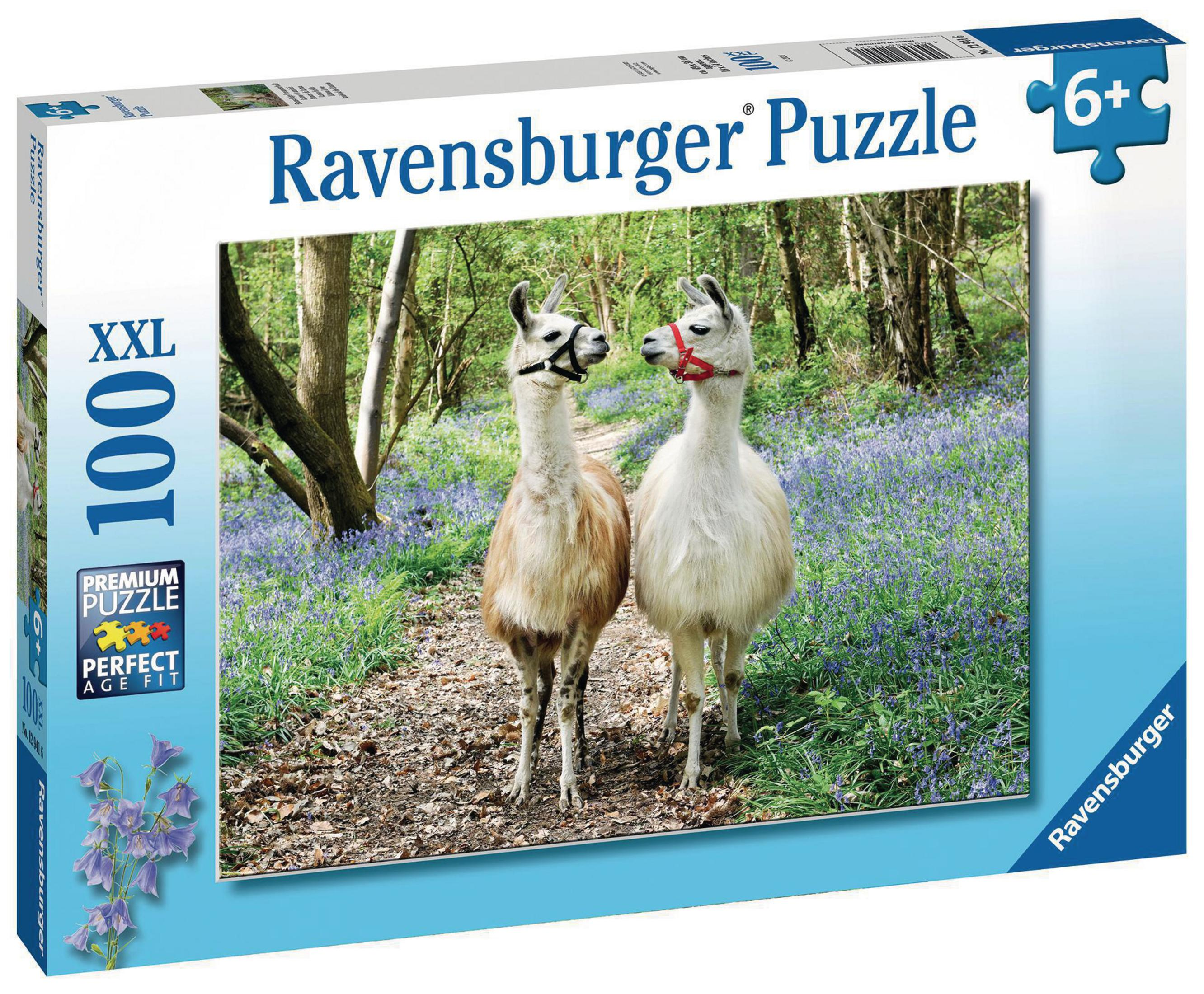 Pudełko z puzzlami z dwoma lamami na ścieżce otoczonej niebieskimi kwiatami.