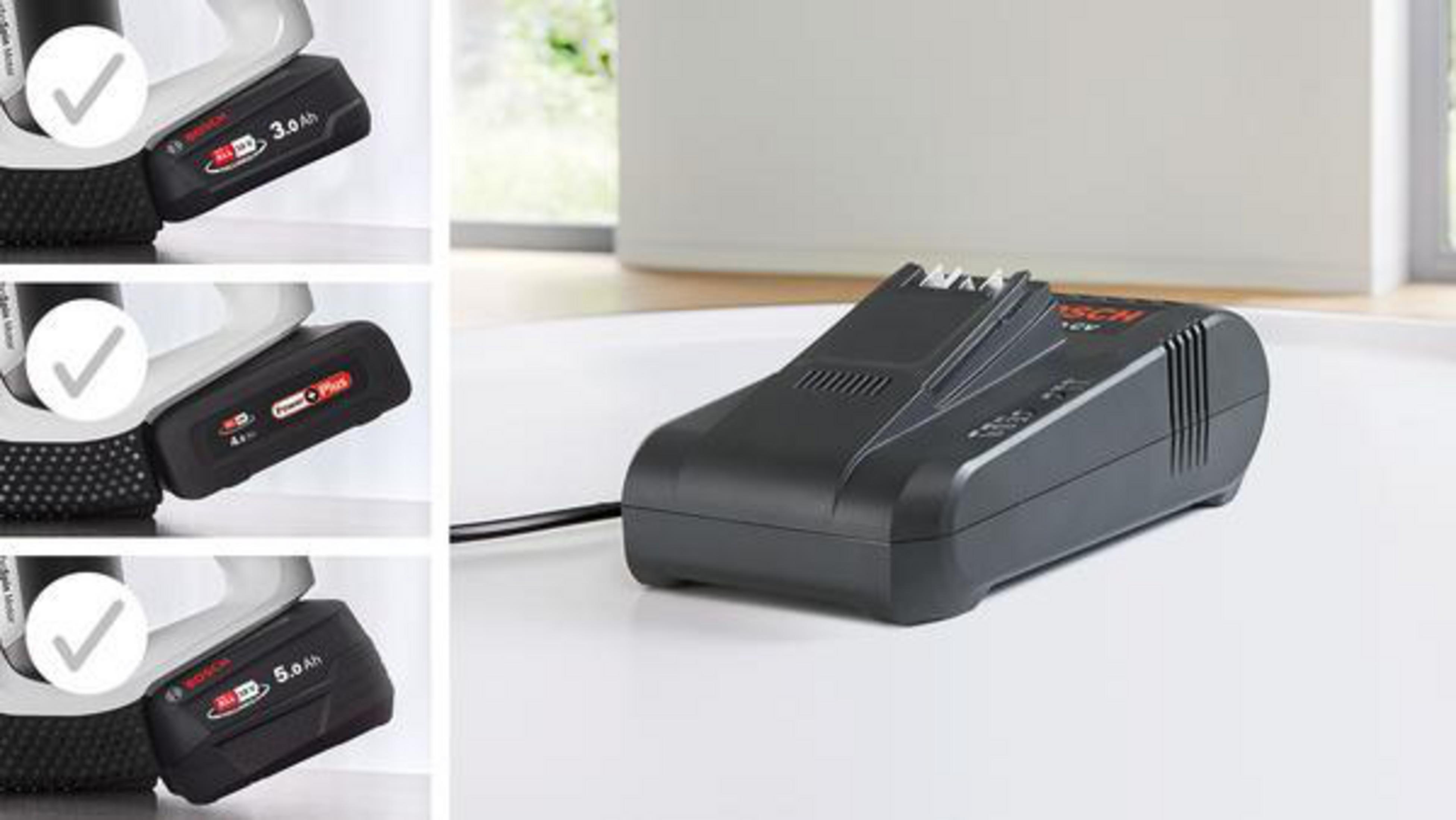 Schwarzes Ladegerät und drei Batterien mit Logos. Die Artikel befinden sich auf weißer Oberfläche.