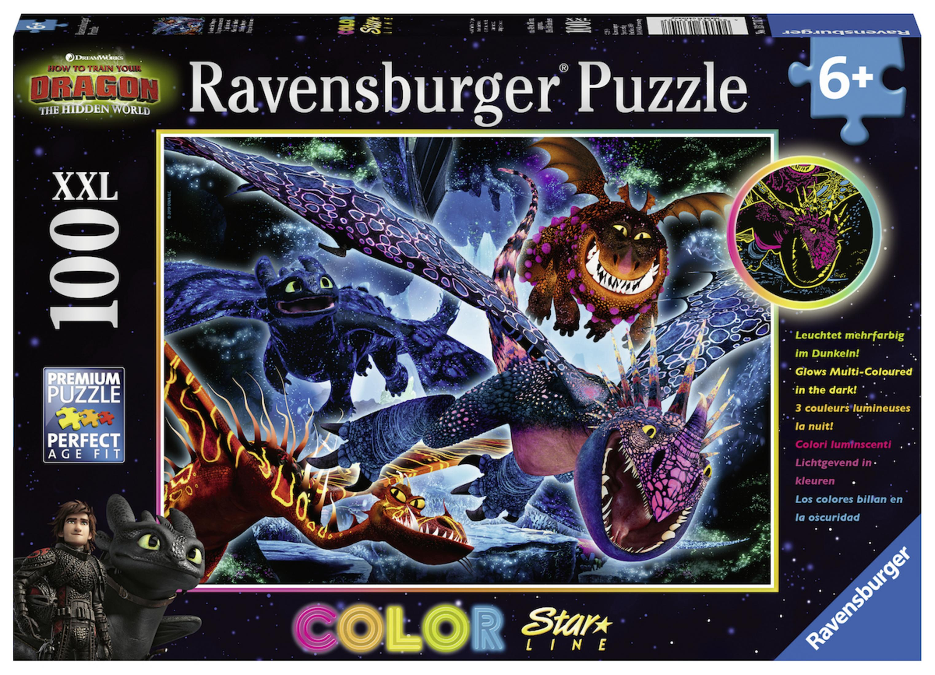 Puzzleschachtel mit einem Bild von 'Drachenzähmen leicht gemacht'.