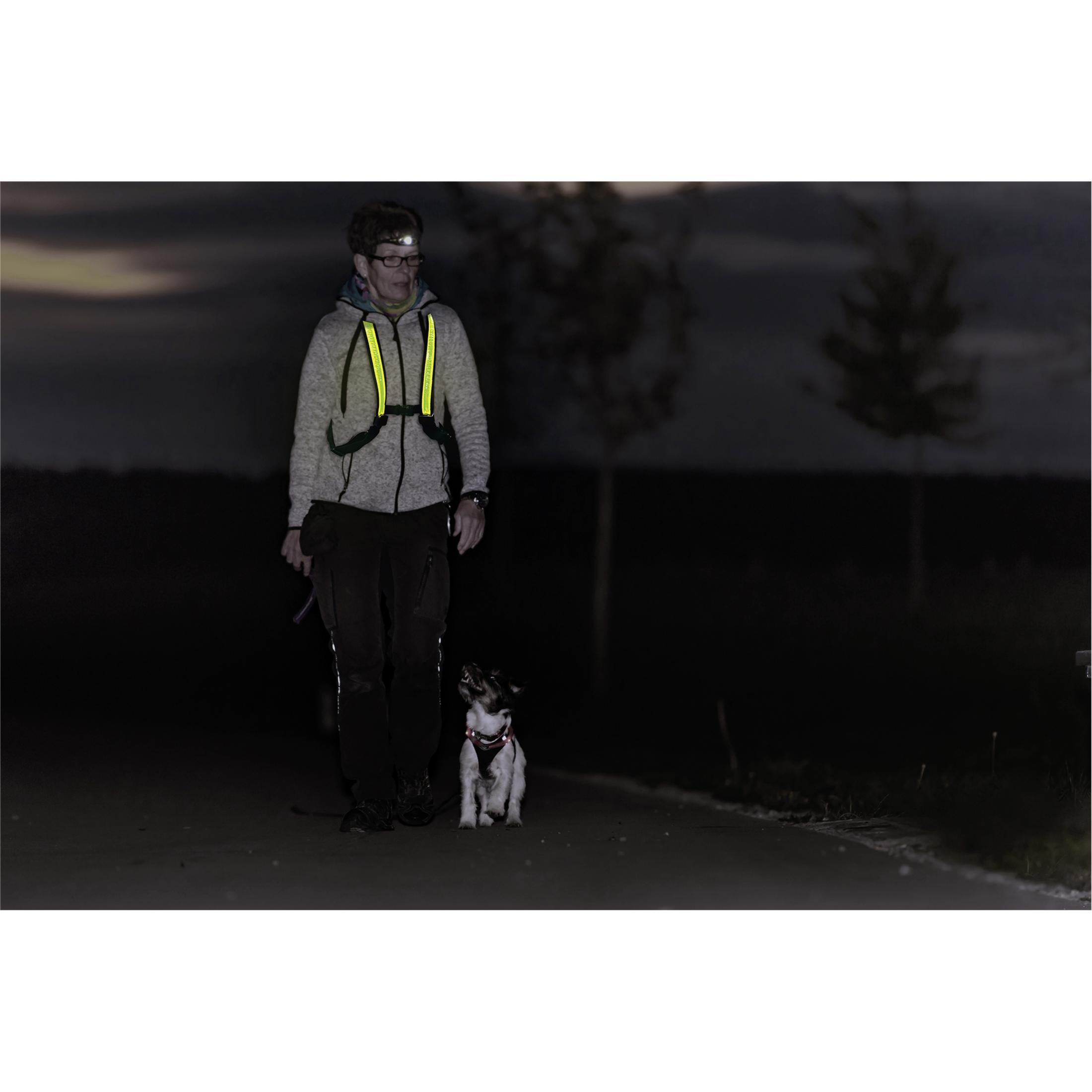 Person geht nachts mit Hund spazieren, beide tragen Lichter.
