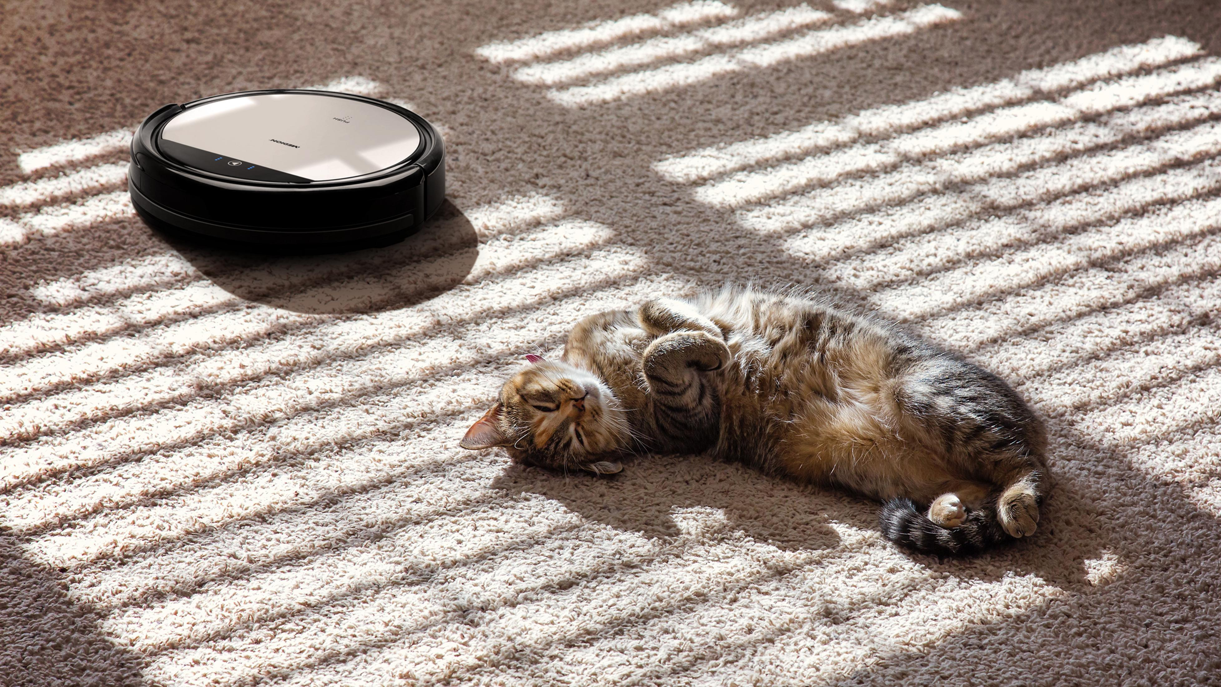 Eine Katze ruht auf einem Teppich neben einem Roboterstaubsauger. Sonnenlicht fällt auf den Boden.