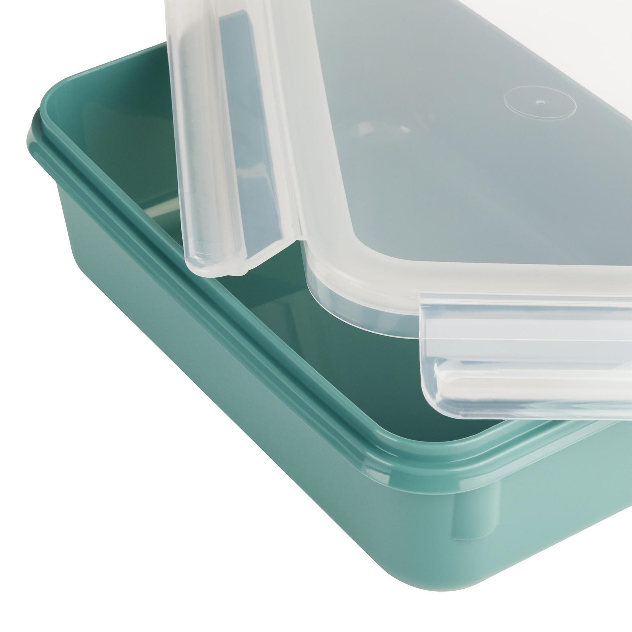 Grüner und transparenter Plastikbehälter mit offenem Deckel.