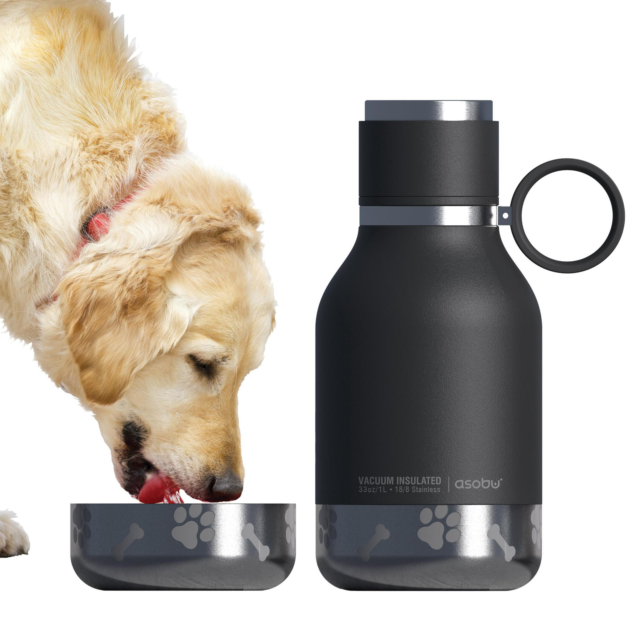 Golden Retriever frisst aus Schüssel, schwarze Wasserflasche daneben.