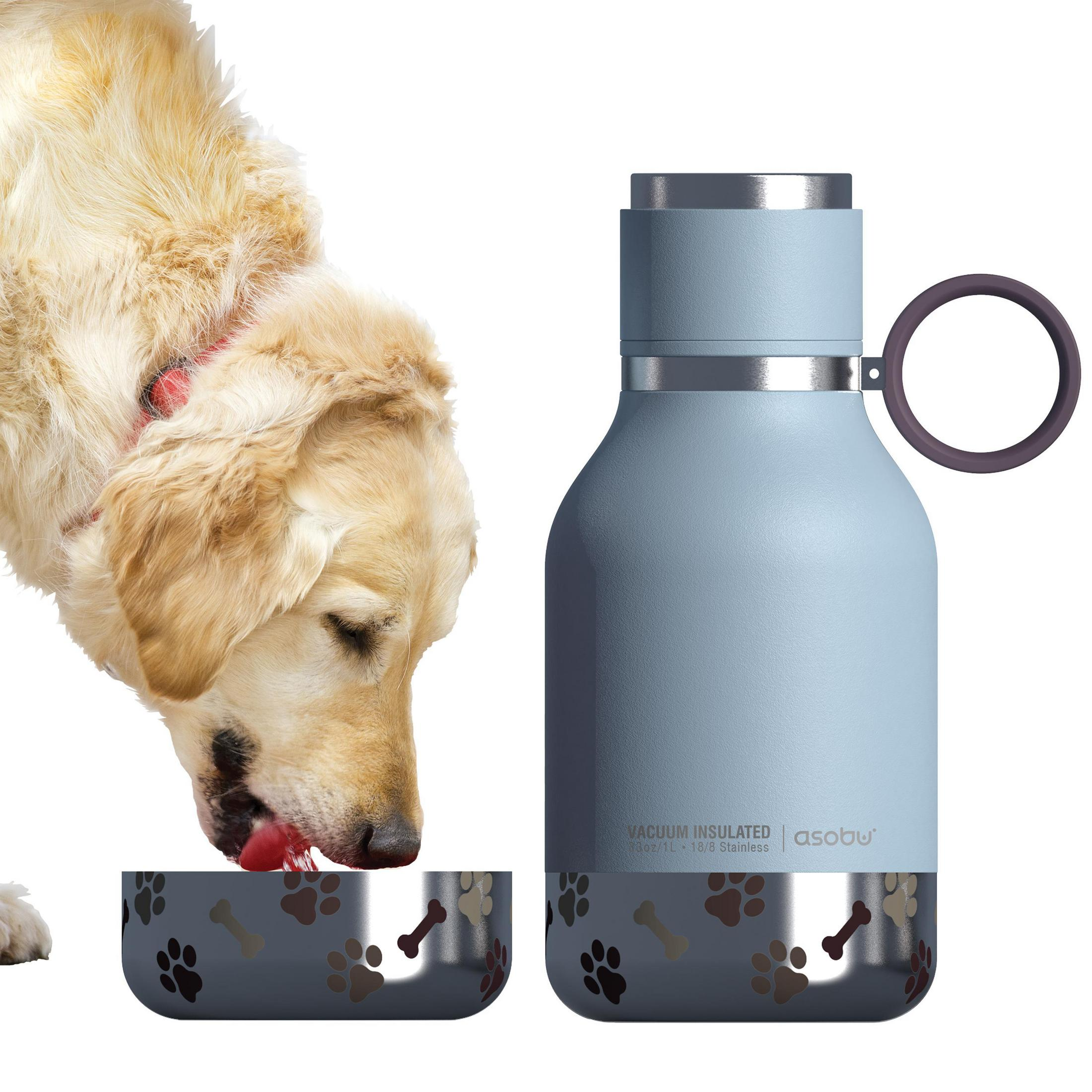 Ein Golden Retriever frisst aus einem Hundenapf neben einer blauen Wasserflasche.