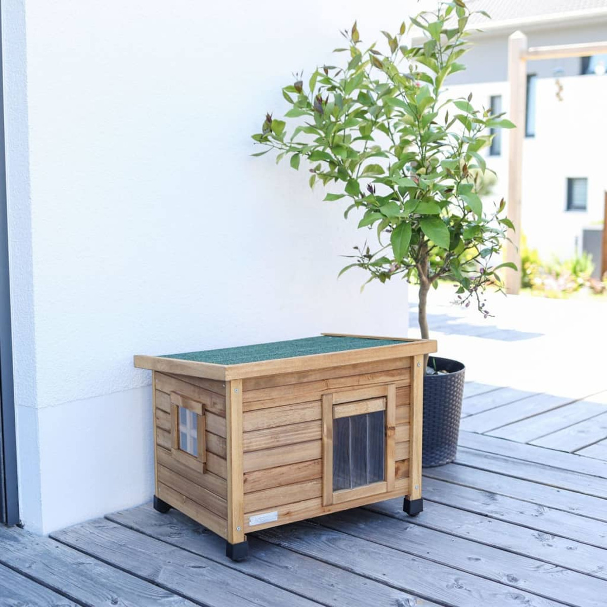 Casa para gatos de madera con techo verde, junto a árbol pequeño en terraza de madera.