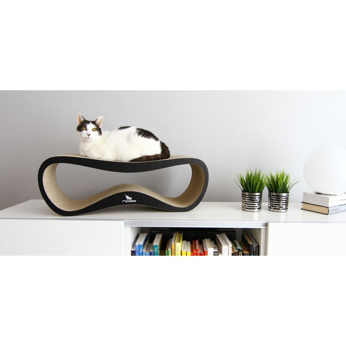 Un gatto su un moderno tiragraffi, nero e beige, con sfondo bianco e una mensola con libri.