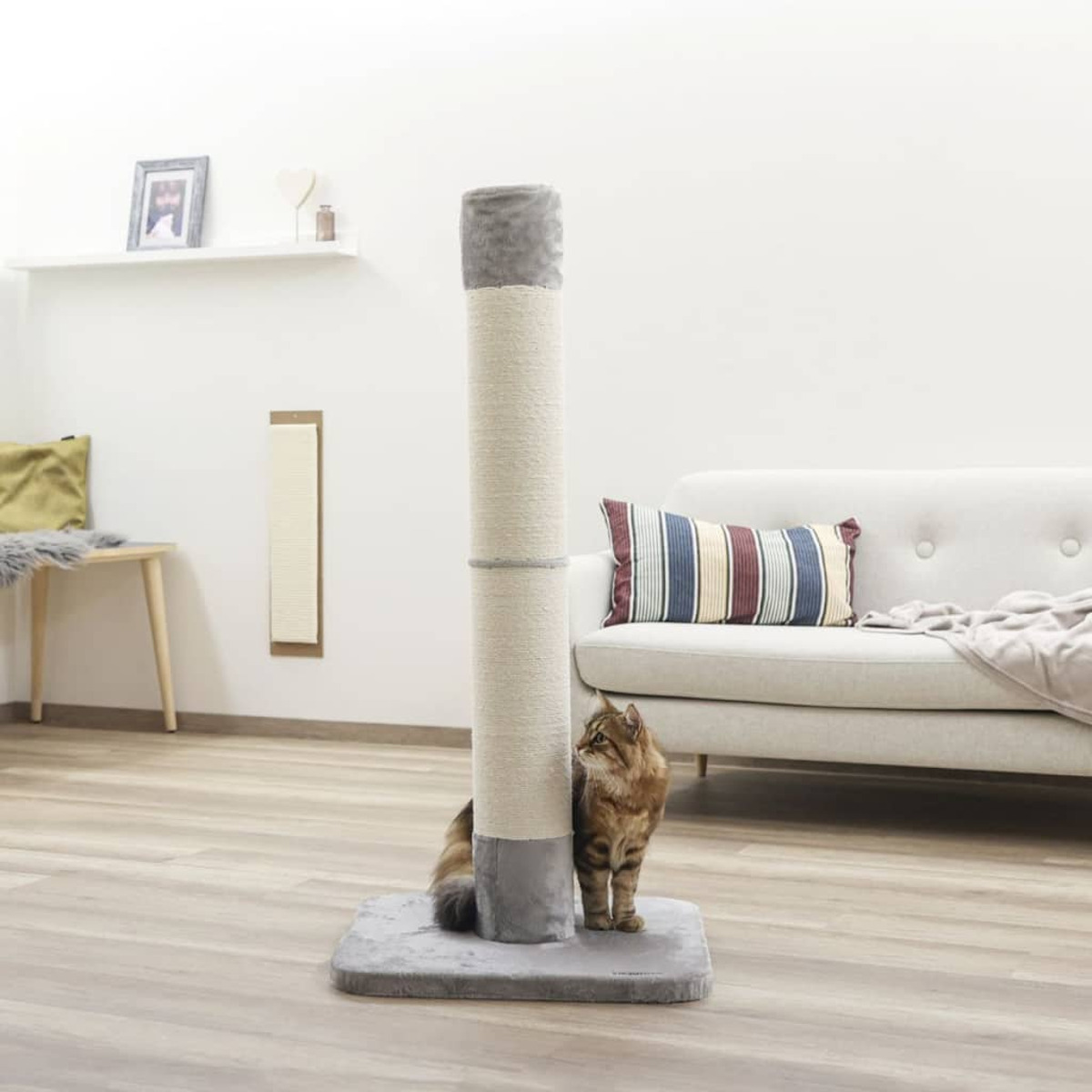 Eine Katze mit braunem und hellbraunem Fell steht neben einem hohen Kratzbaum. Die Katze schaut zur Seite.