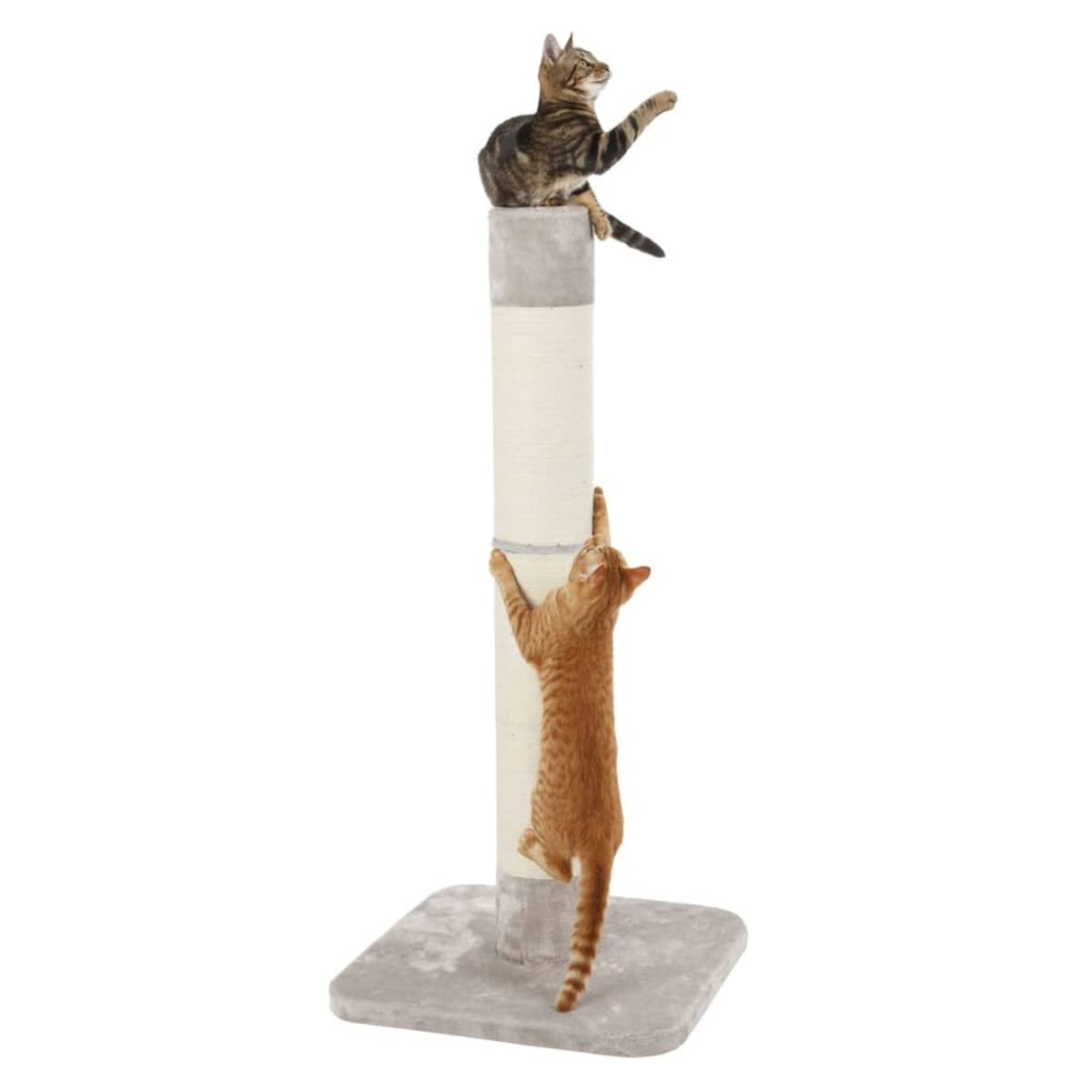 Zwei Katzen, eine oben, die andere klettert an einem Kratzbaum hoch.