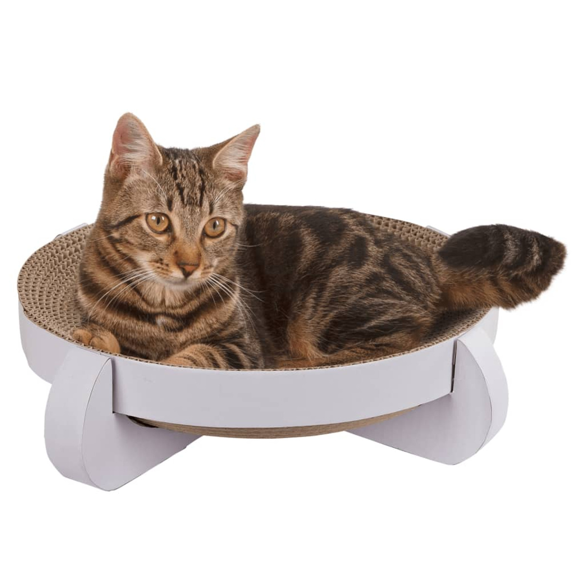 Un gatto tabby marrone sdraiato in una cuccia bianca con base rotonda in cartone.