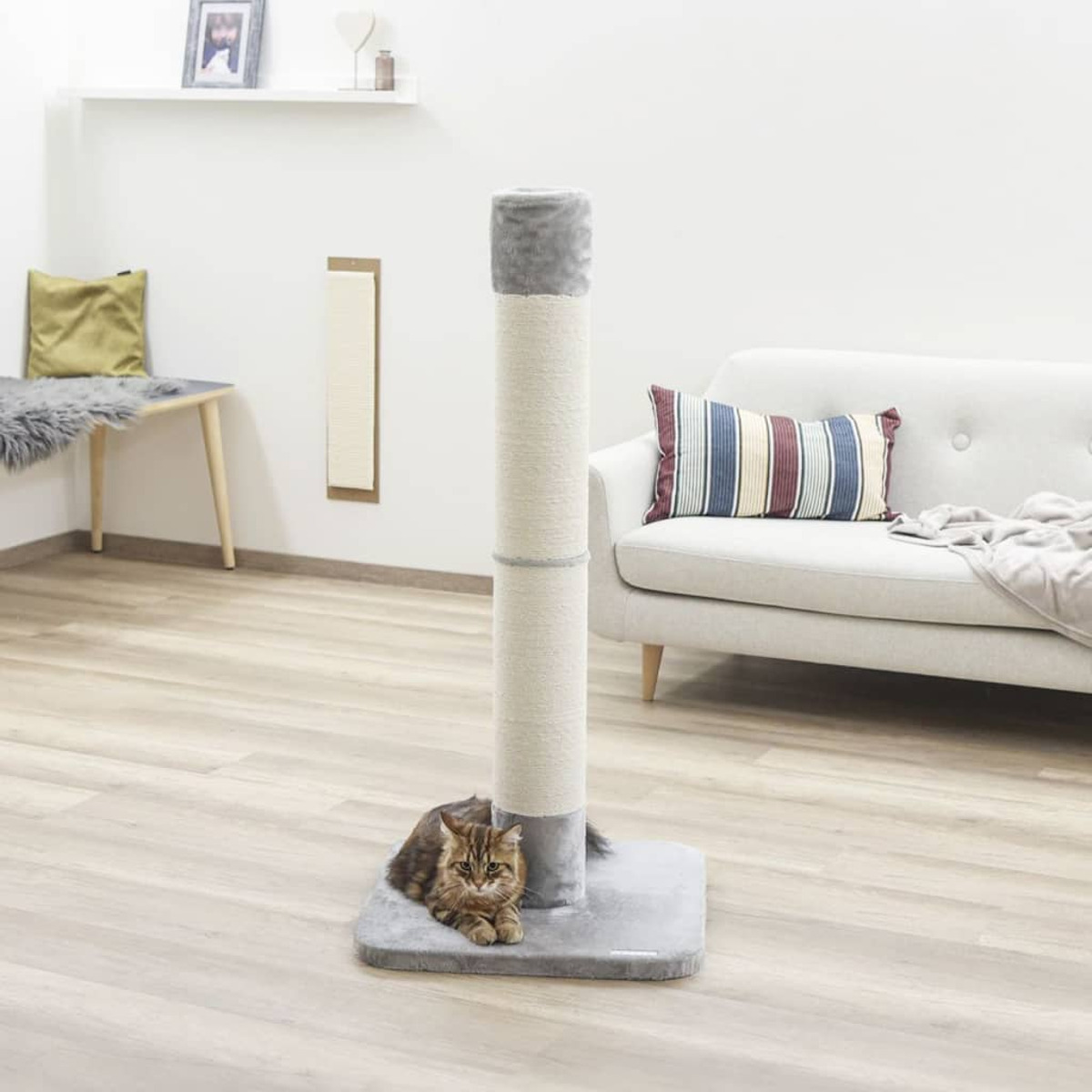 Ein Kratzbaum, mit einer Katze, die sich am Fuß ausruht. Ein Raum mit neutralen Tönen.