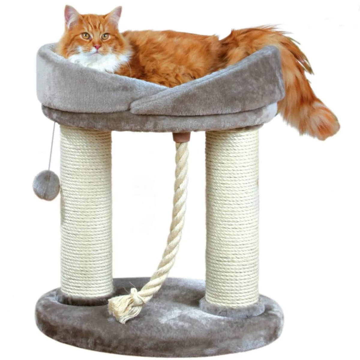Orange Katze auf einem Kratzbaum. Beige- und Grautöne. Weißer Hintergrund.