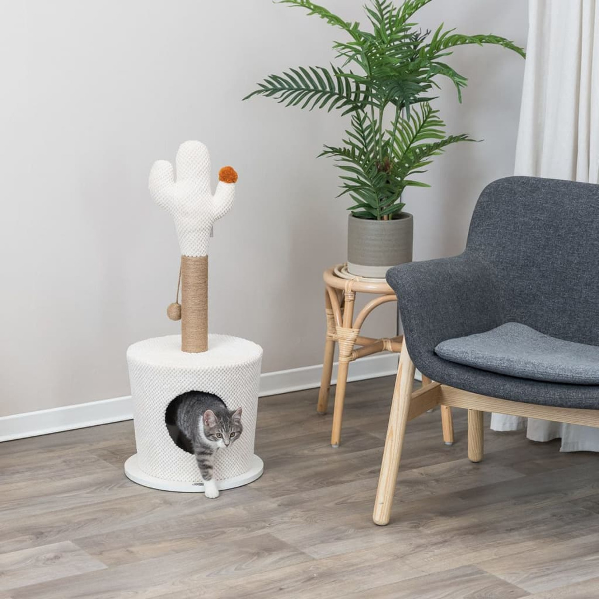Katze in einem Katzenbaum, einer kaktusförmigen Struktur mit Ball und Pflanze.