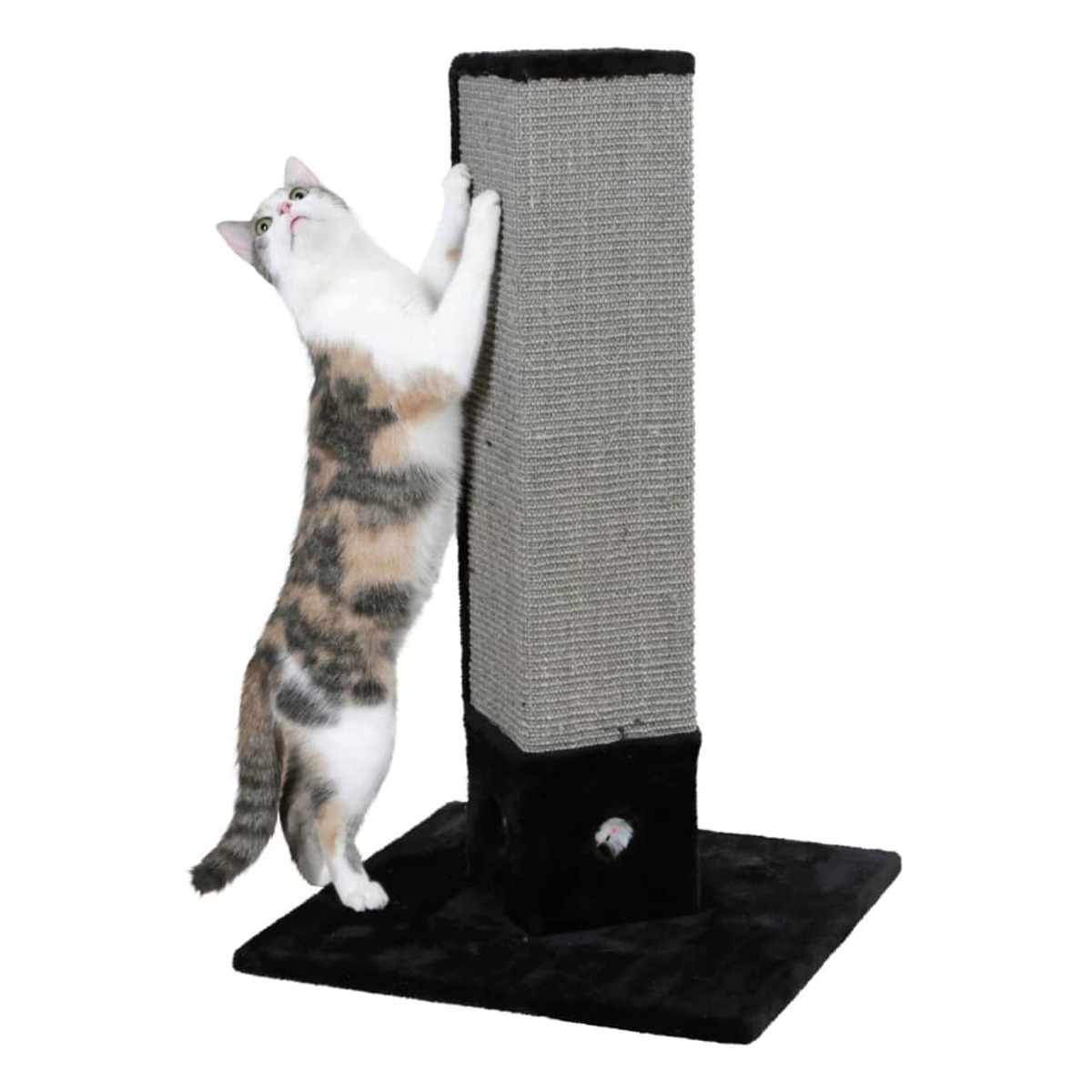 Schildpattkatze, die einen grauen Kratzbaum kratzt. Die Katze schaut nach oben.