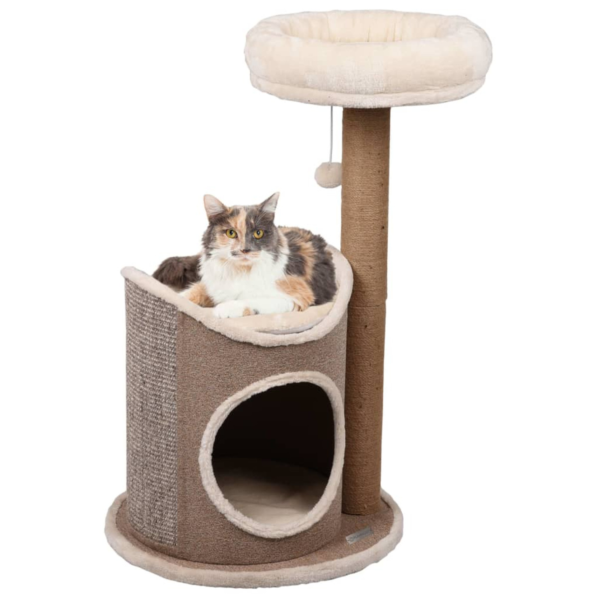 Eine mehrfarbige Katze auf einem braunen Kratzbaum mit rundem Bett oben.