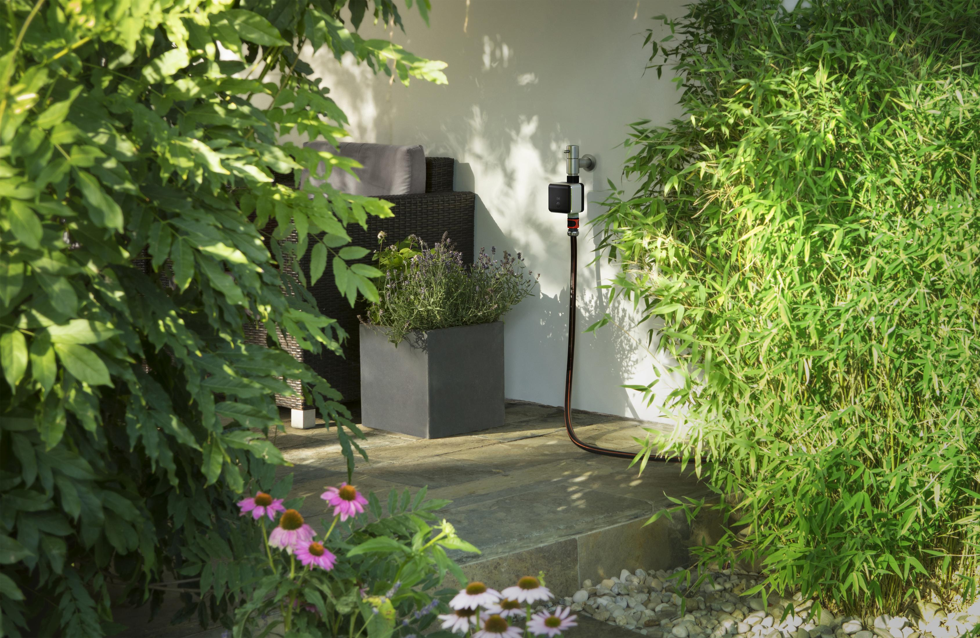 Eine Gartenszene mit Pflanzen. Ein schwarzer Schlauch und Wasserhahn sind sichtbar.