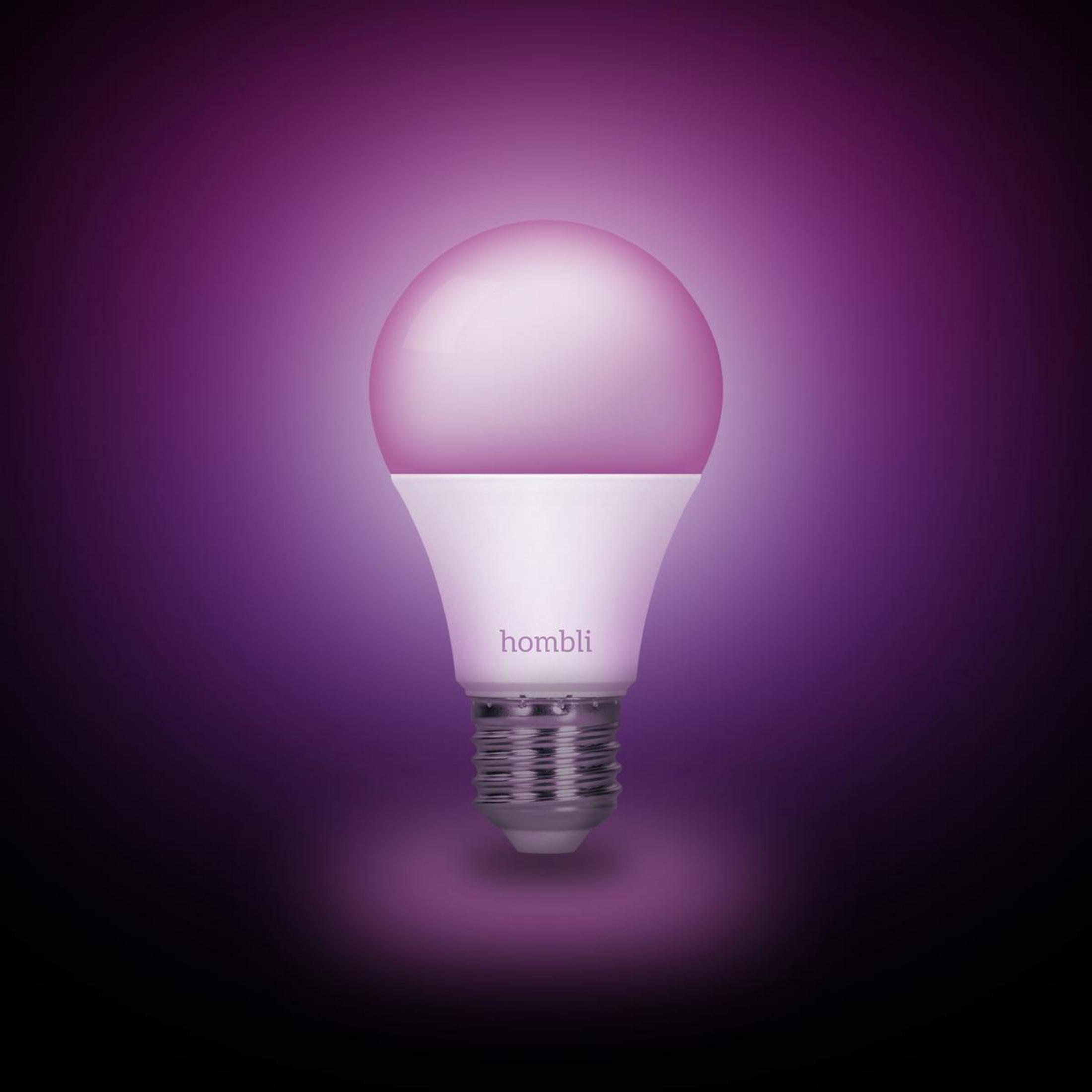 Una lampadina con una luce rosa su uno sfondo viola scuro. Il marchio 'hombli' è visibile.