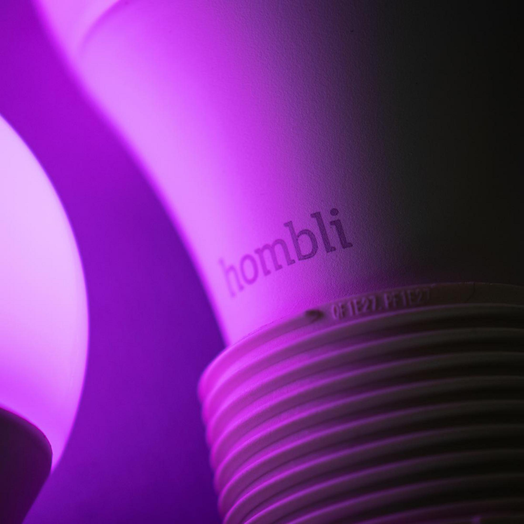 Primo piano di una lampadina viola con la scritta 'hombli'.
