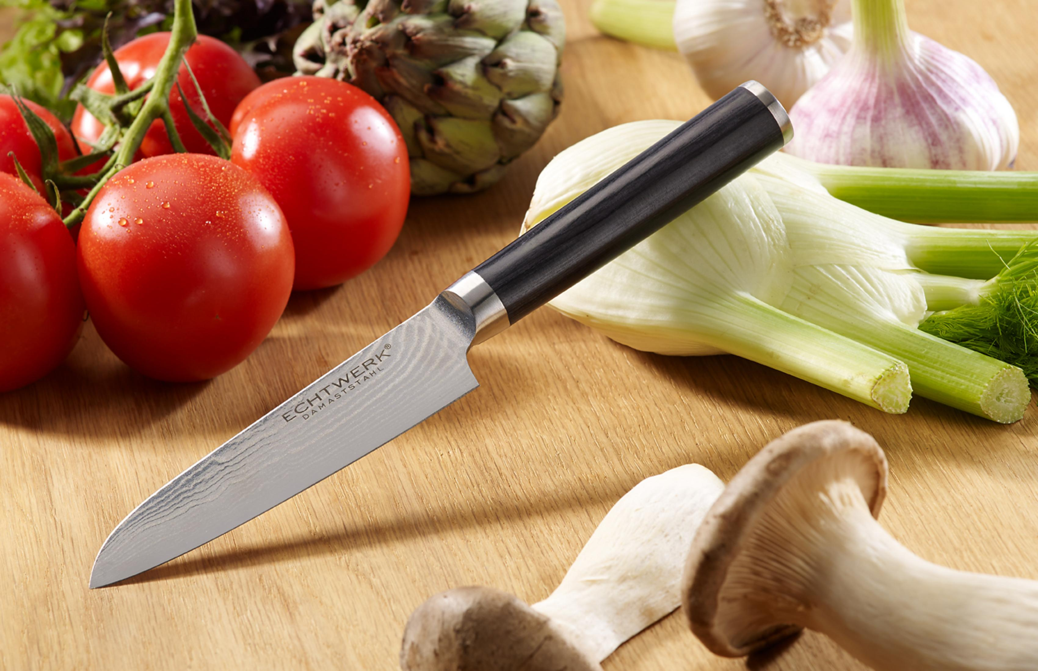 Küchenmesser auf Holzbrett. Tomaten, Knoblauch, Fenchel und Pilz sind drumherum.
