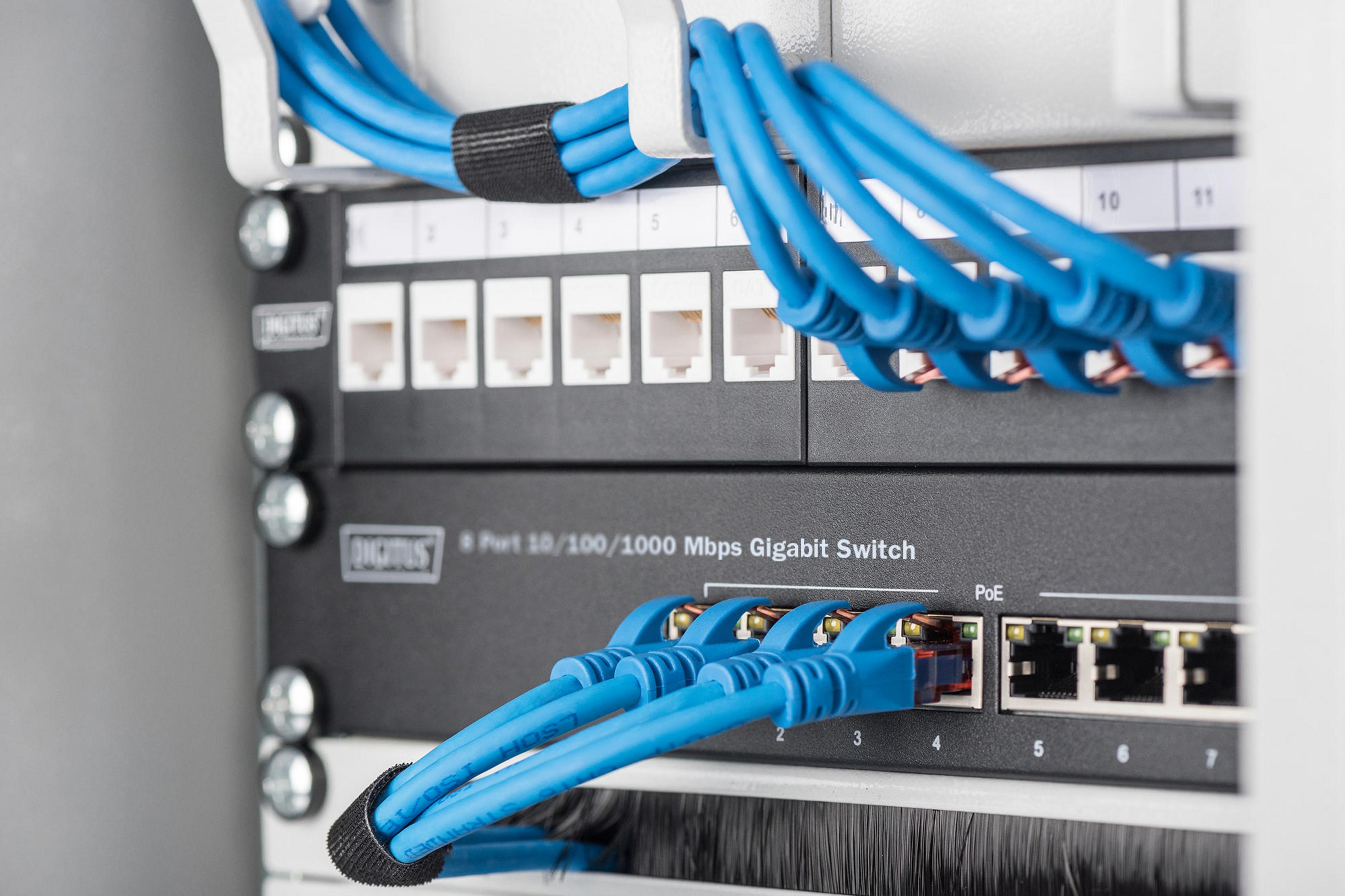Nahaufnahme eines Netzwerk-Switches mit eingesteckten blauen Netzwerkkabeln.