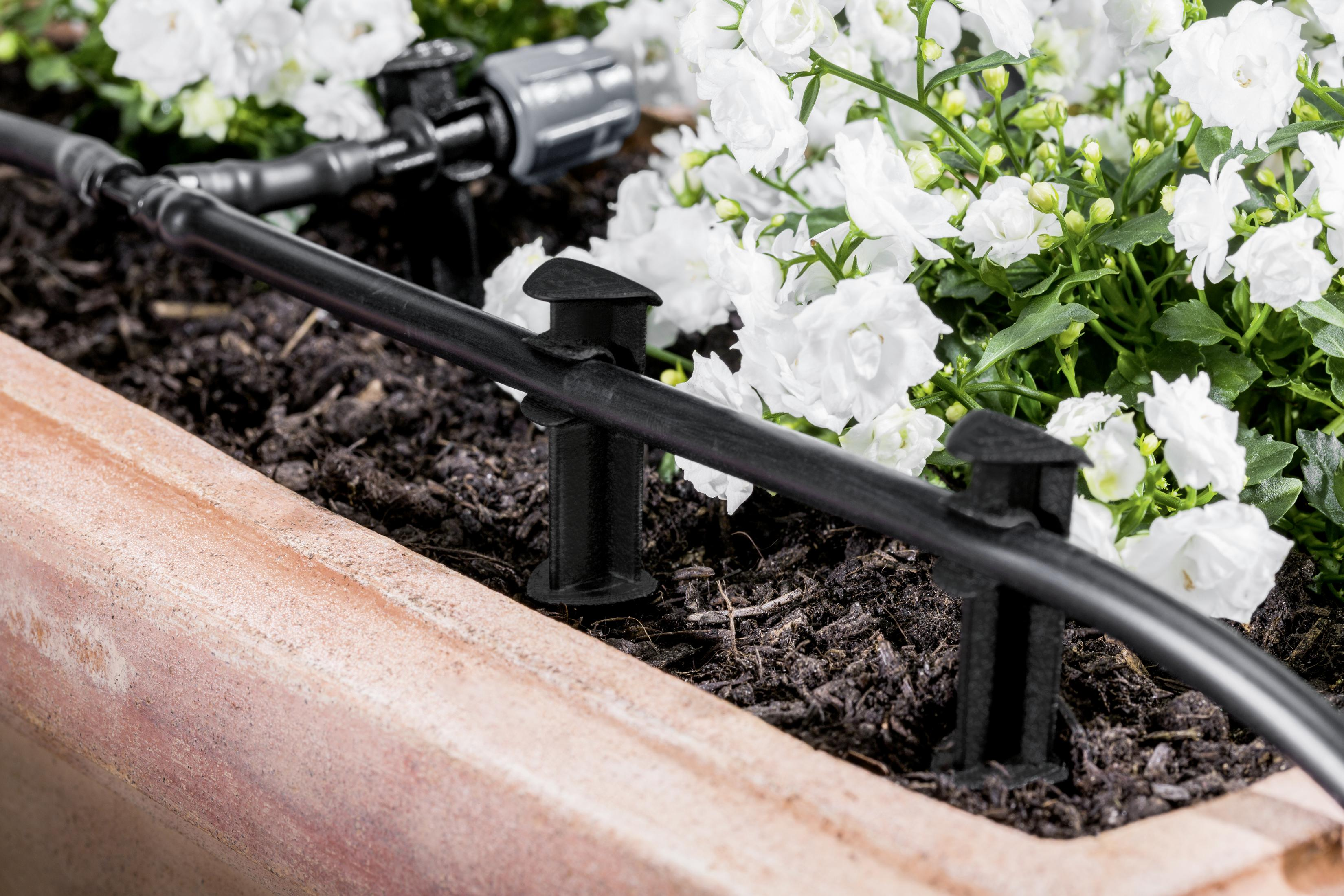 Primer plano de un sistema de riego por goteo en una jardinera de madera con flores blancas.