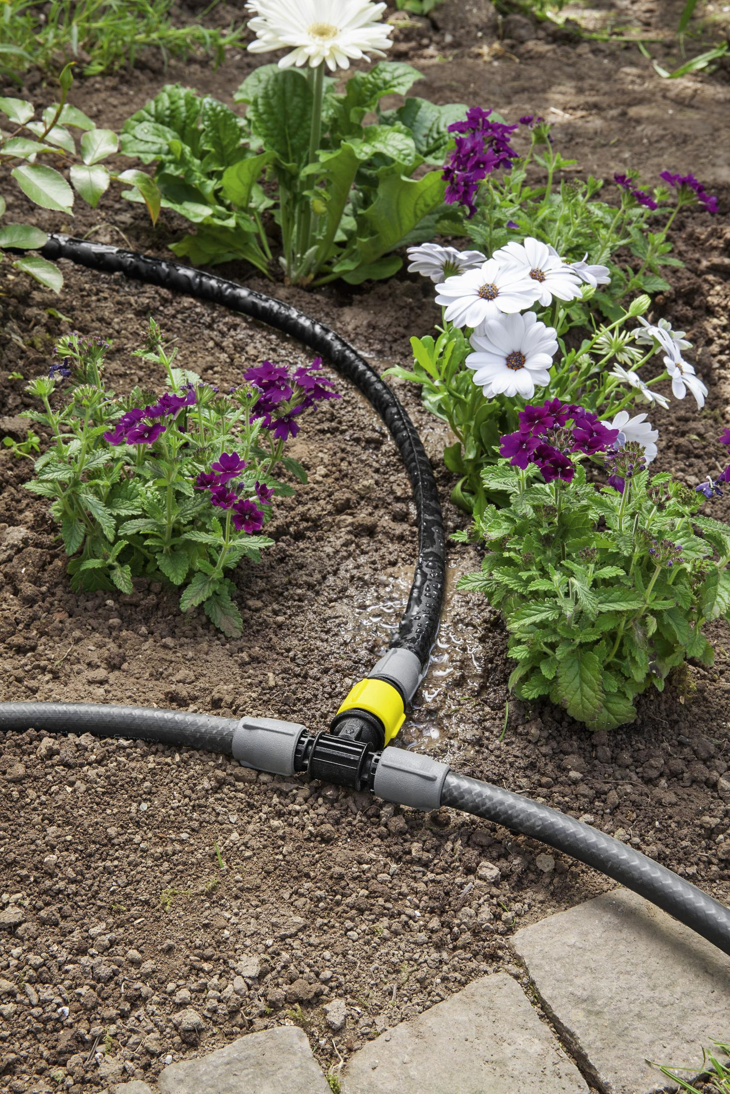 Schlauch und T-Verbinder mit Wasser, umgeben von Pflanzen und Blumen.
