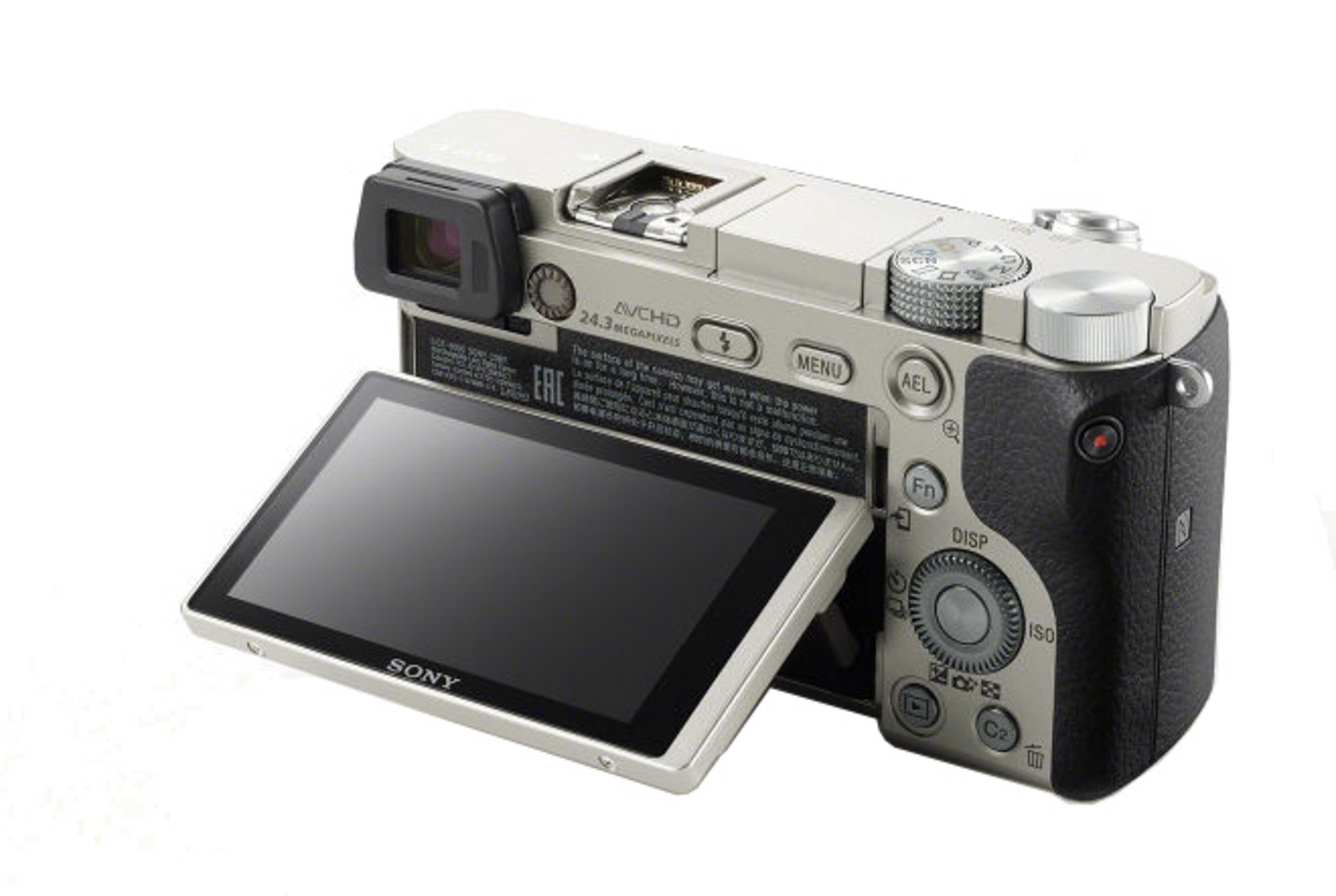 Eine silberne und schwarze Sony-Kamera mit ausgeklapptem Bildschirm, isoliert auf Weiß.