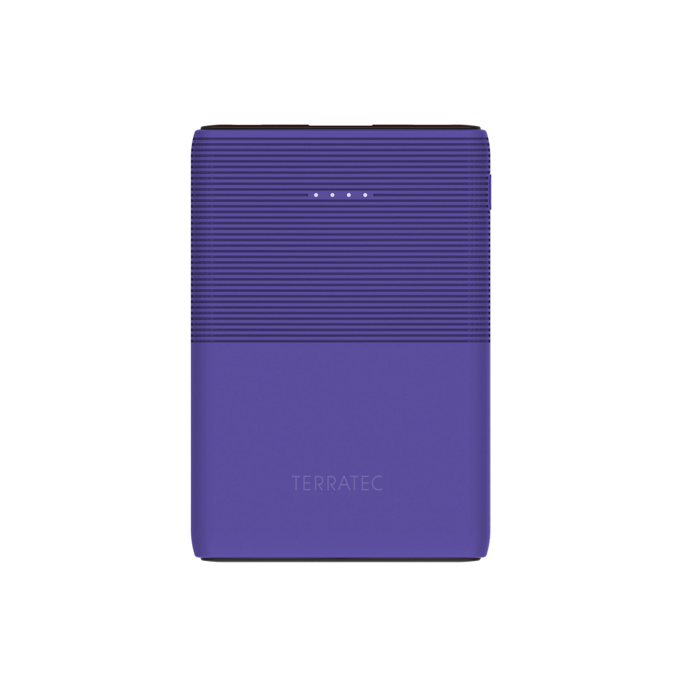 Un altoparlante portatile viola con un motivo a linee orizzontali e il marchio 'TERRATEC'.