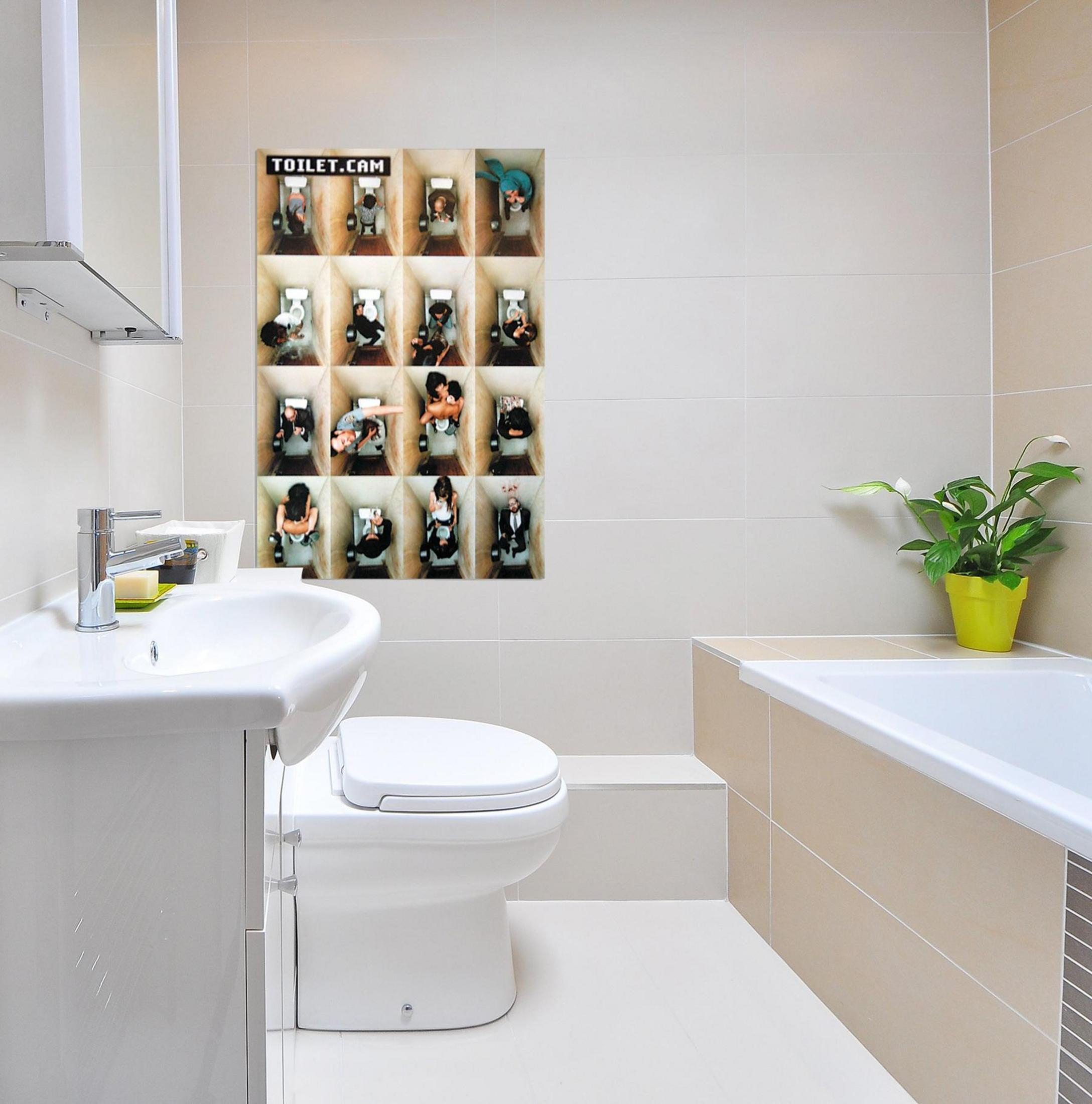 Badezimmer mit Toilette, Waschbecken und einem Poster von Personen auf Toiletten. Eine Pflanze steht auf einer Theke.