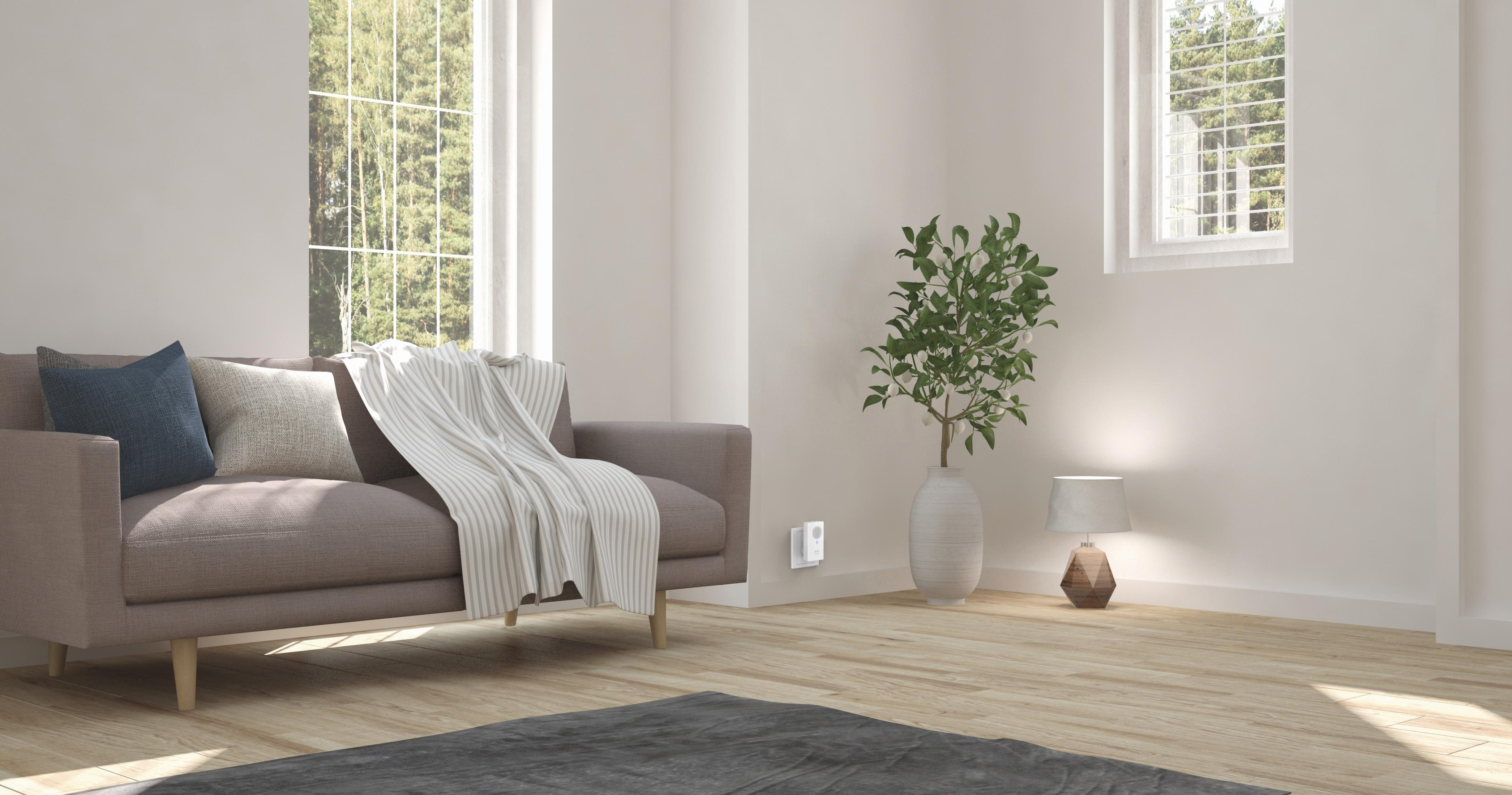 Wohnzimmer mit Sofa, Teppich, Pflanze und Fenstern, die natürliches Licht hereinlassen.