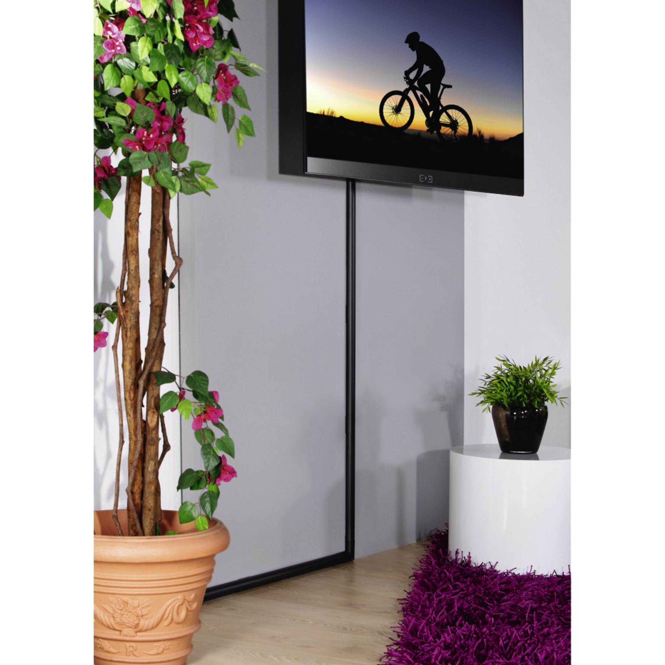 Zimmerecke mit Fernseher, Pflanze und lila Teppich neben einem Fenster.