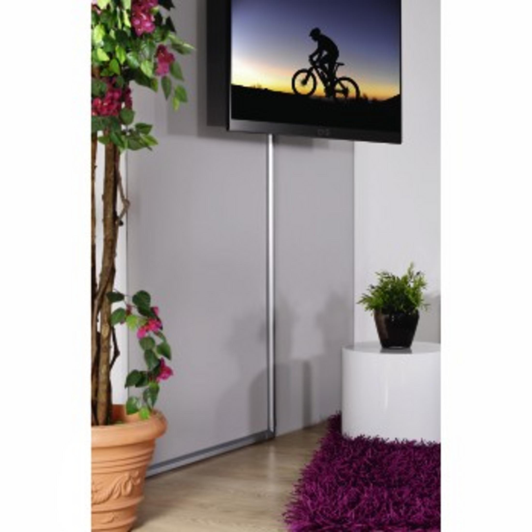Ein Fernseher mit einem Radfahrer bei Sonnenuntergang, neben einer Pflanze und einem lila Teppich.