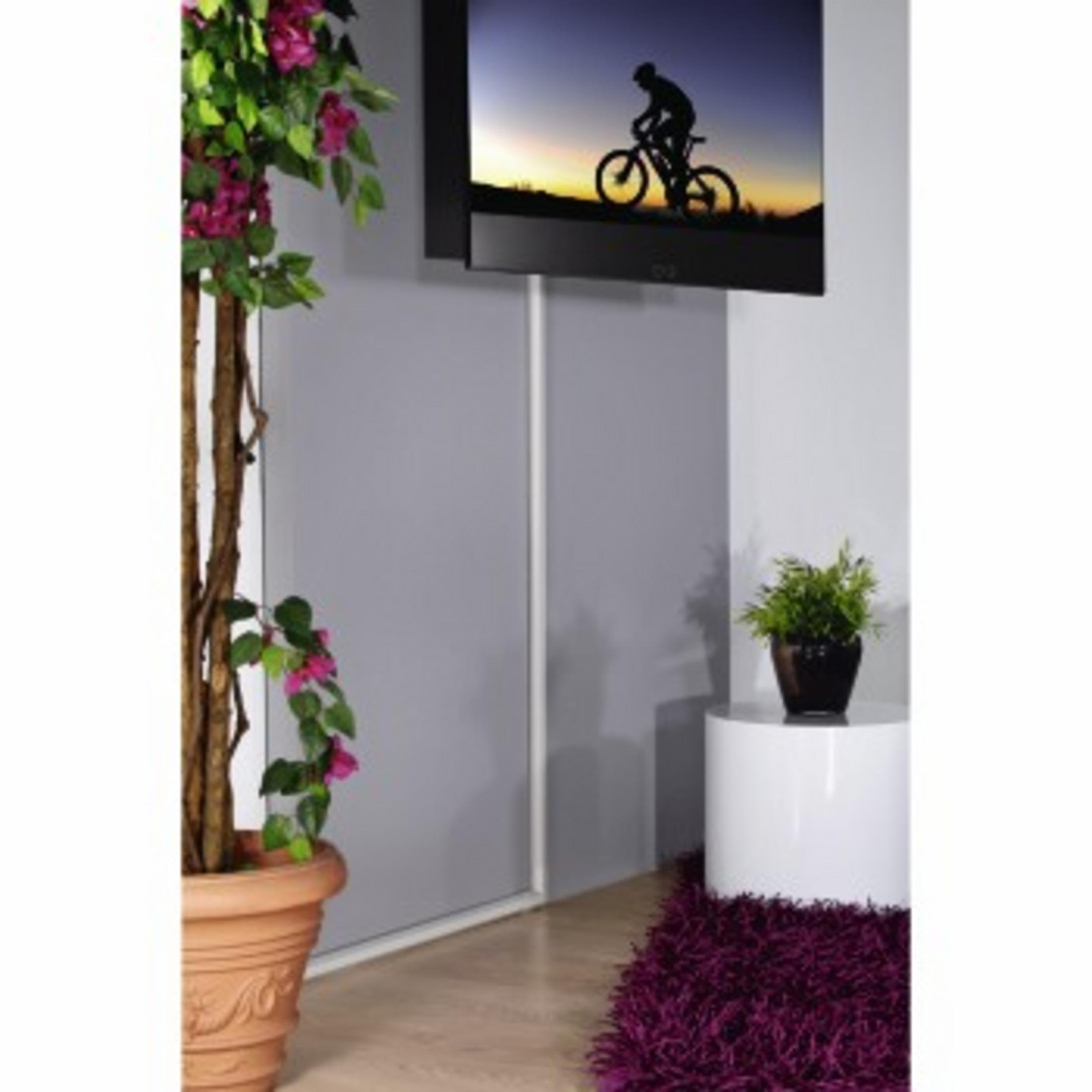 An der Wand montierter Fernseher, der einen Radfahrer bei Sonnenuntergang zeigt. Pflanze und Teppich sichtbar.