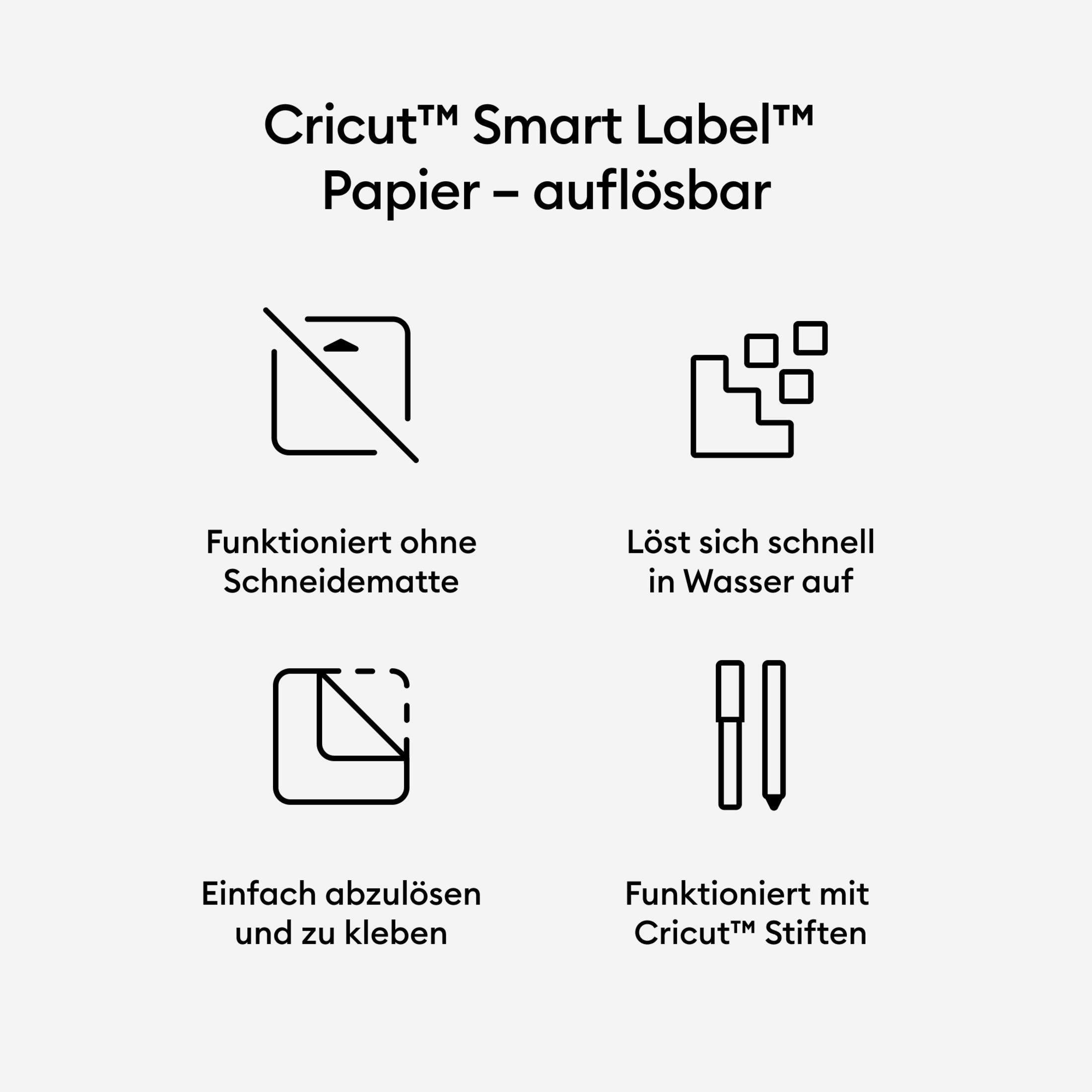 Vier Symbole mit Text. Symbole zeigen: keine Schneidematte, löst sich in Wasser auf, leicht ablösbar, Cricut-Stifte.