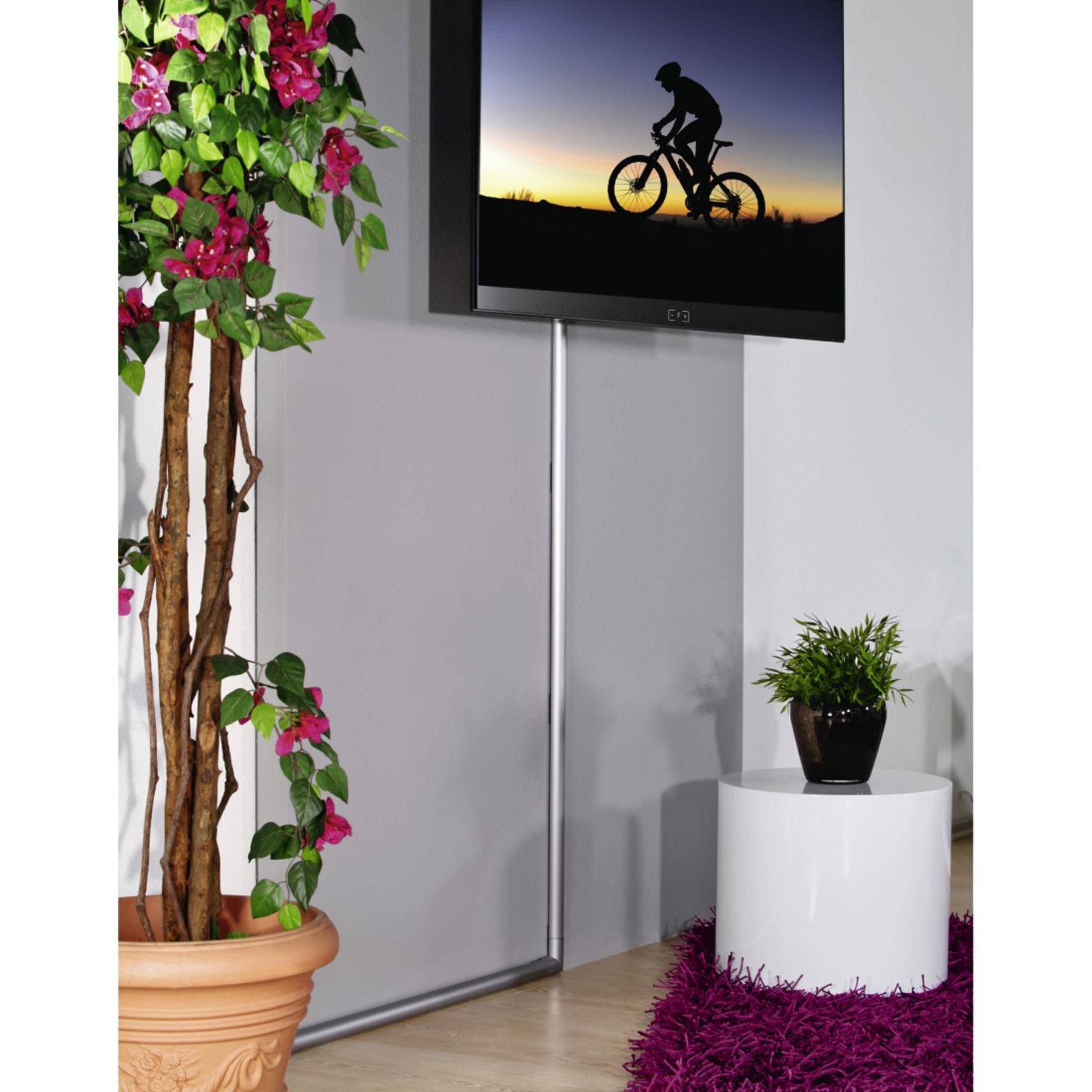 Wohnzimmer mit Fernseher, Pflanze und weißem Tisch auf lila Teppich. Graue Wand.