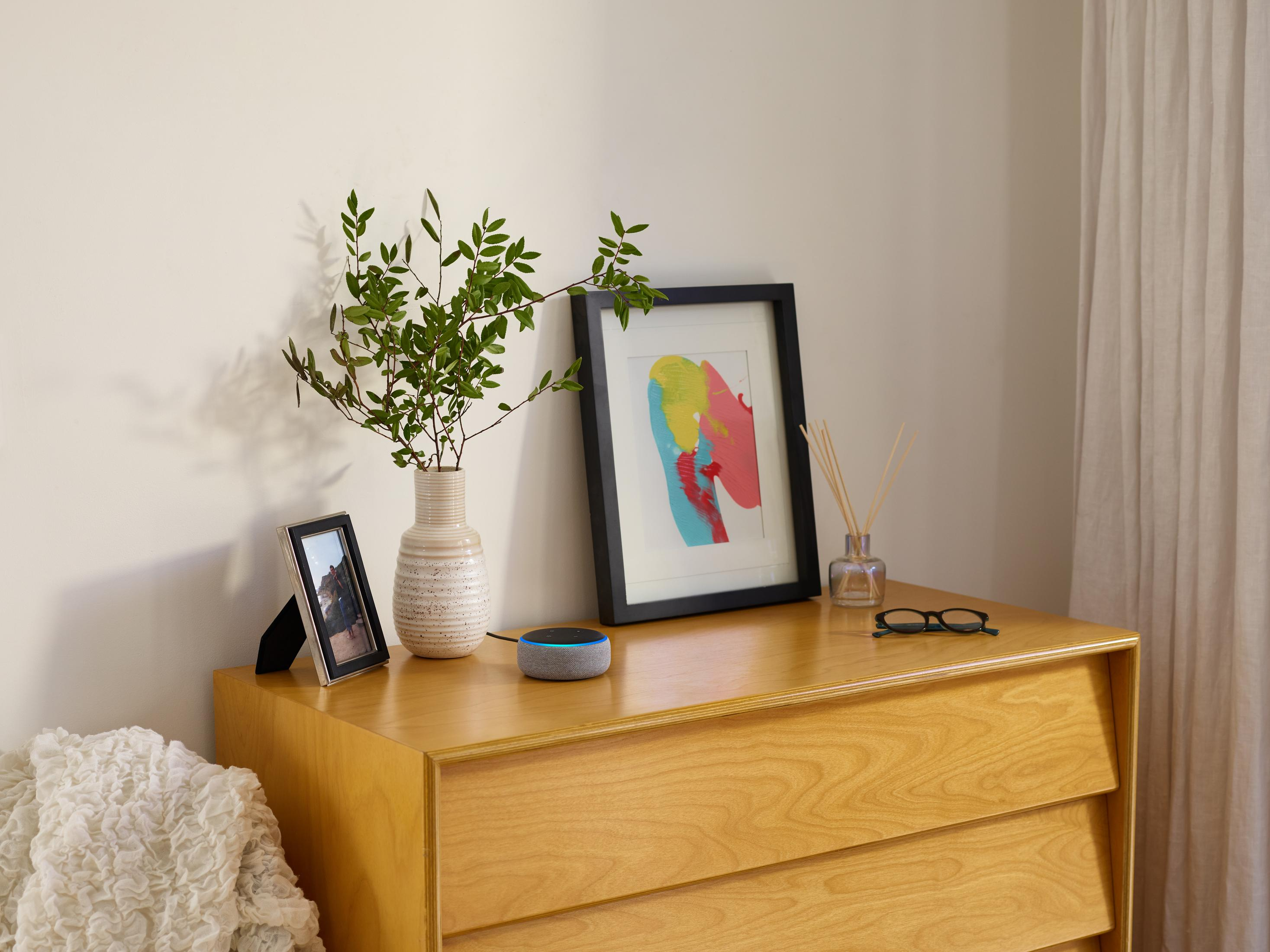 Holzkommode mit Dekoration: Vase mit Pflanze, gerahmte Kunst, Smart Speaker, Bilderrahmen und Brille.