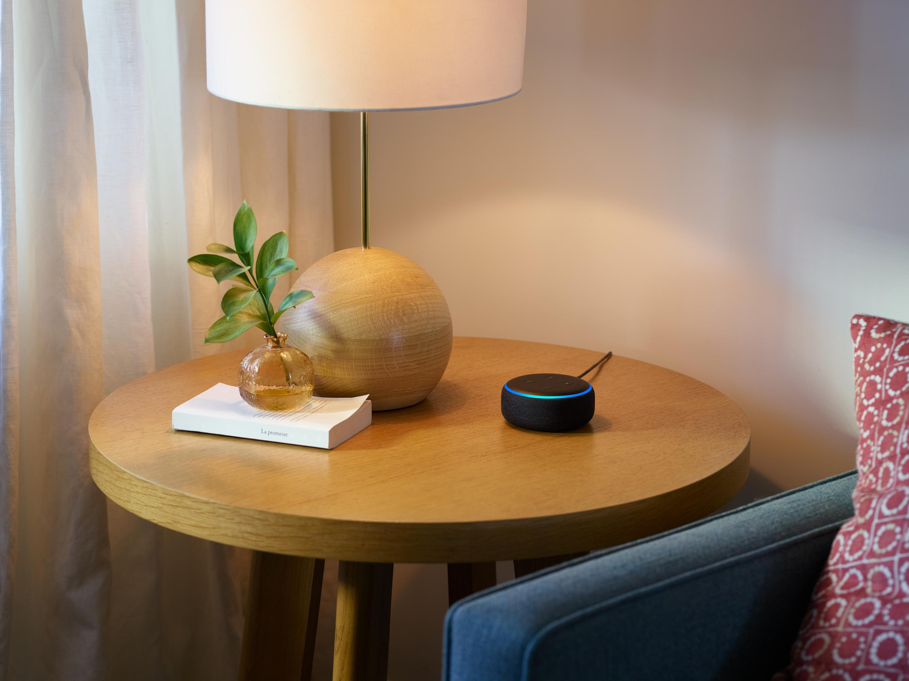 Smart Speaker auf einem Holztisch. Lampe und kleine Pflanze sind auch drauf.