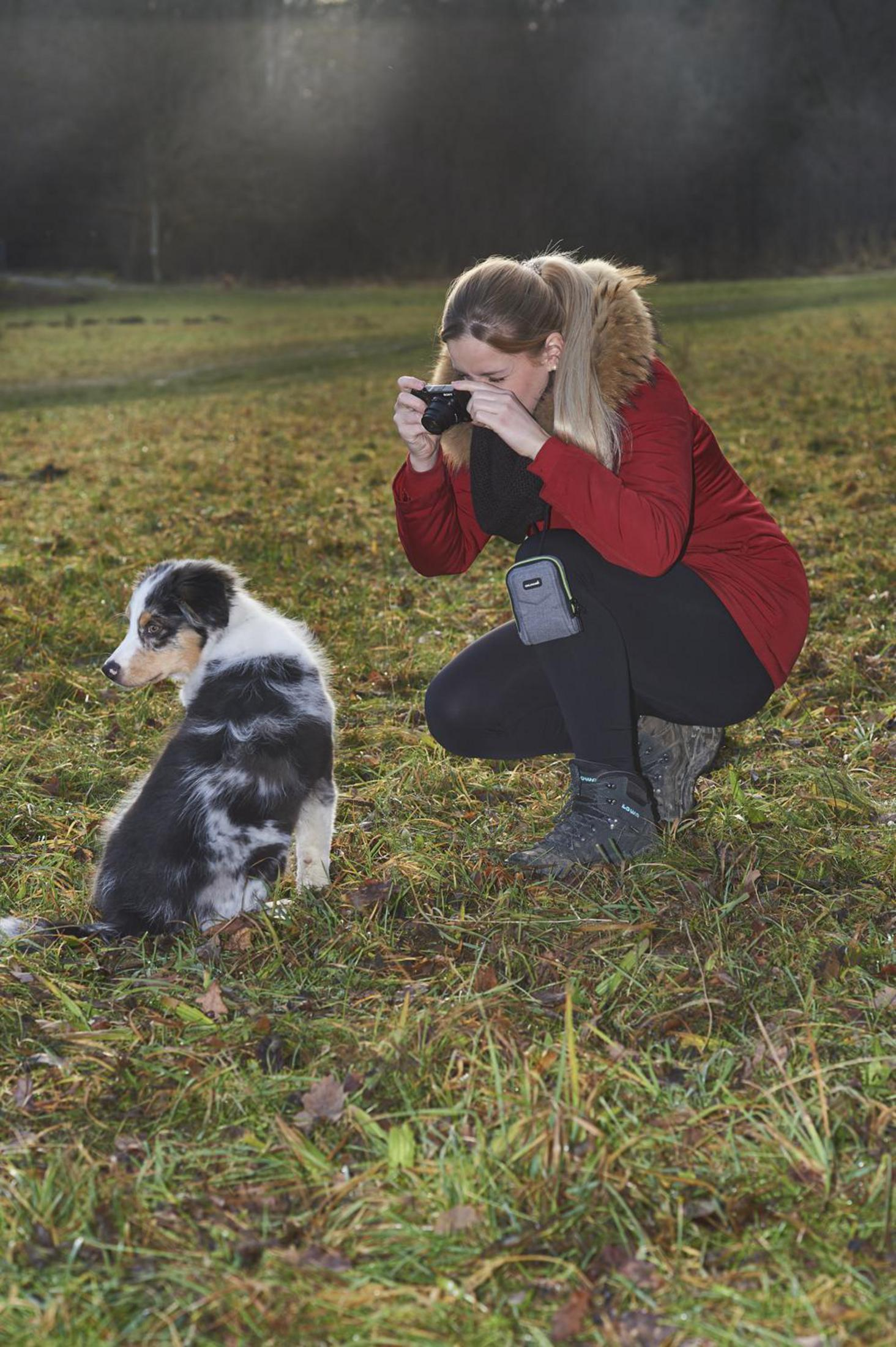 Frau fotografiert Welpen auf einer Wiese. Sonne im Hintergrund.