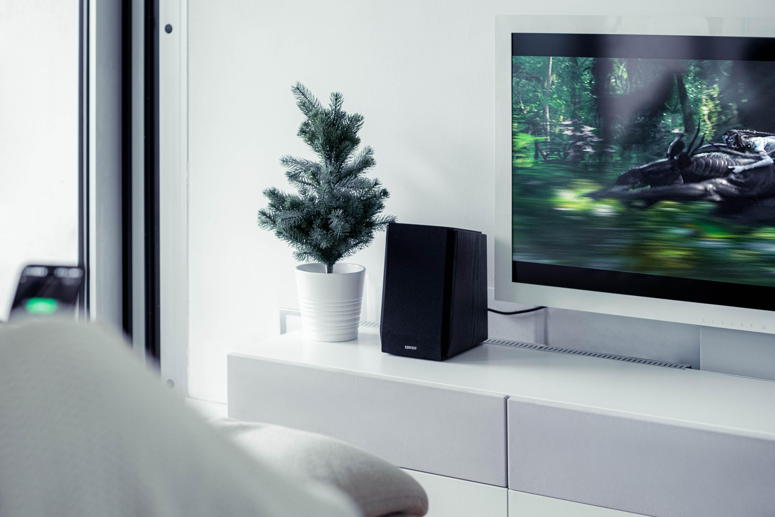 Czarny głośnik i małe drzewko na białym stole. Telewizor pokazuje scenę leśną.