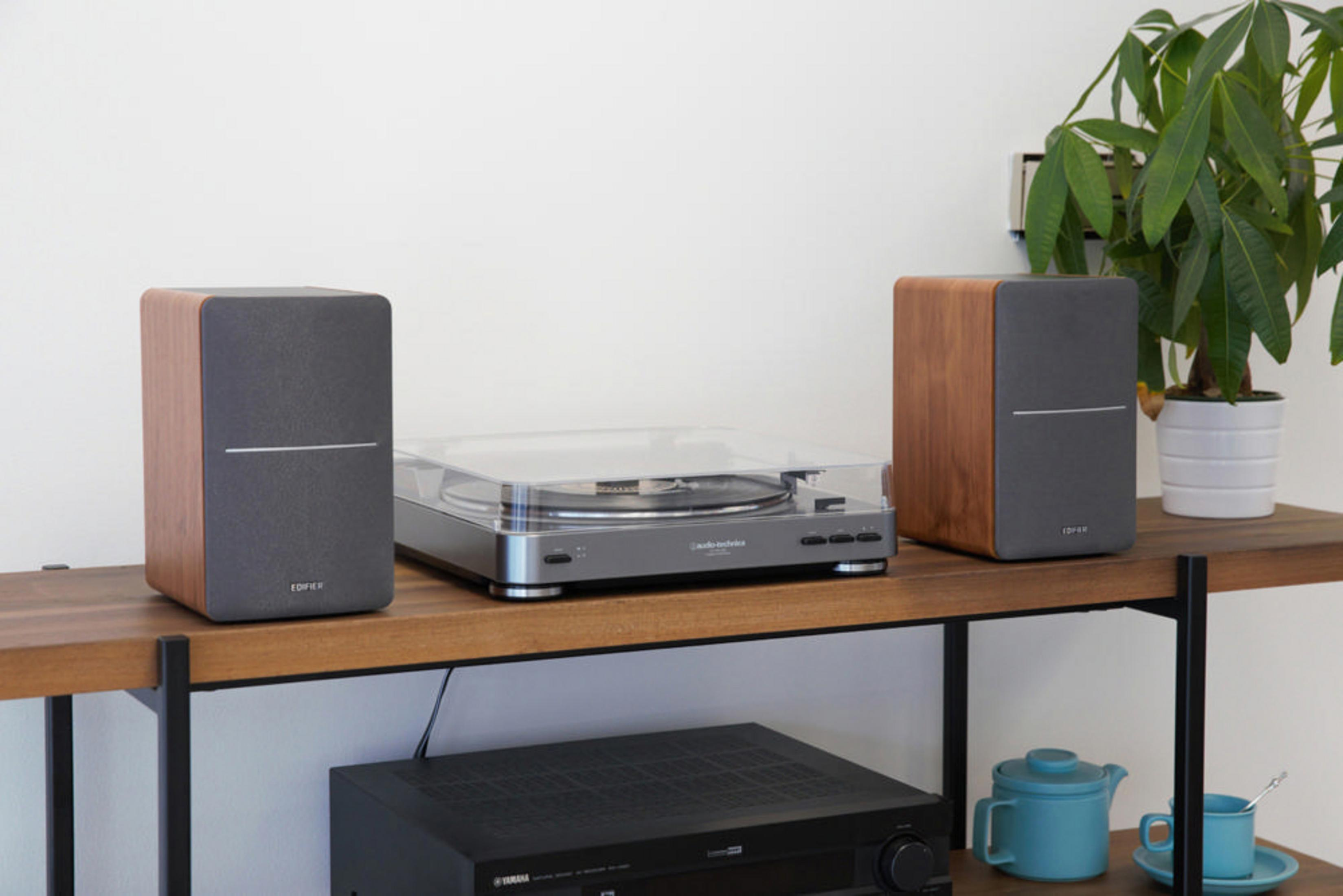 Gramofon z dwoma głośnikami na półce. Czarny wzmacniacz i roślina.