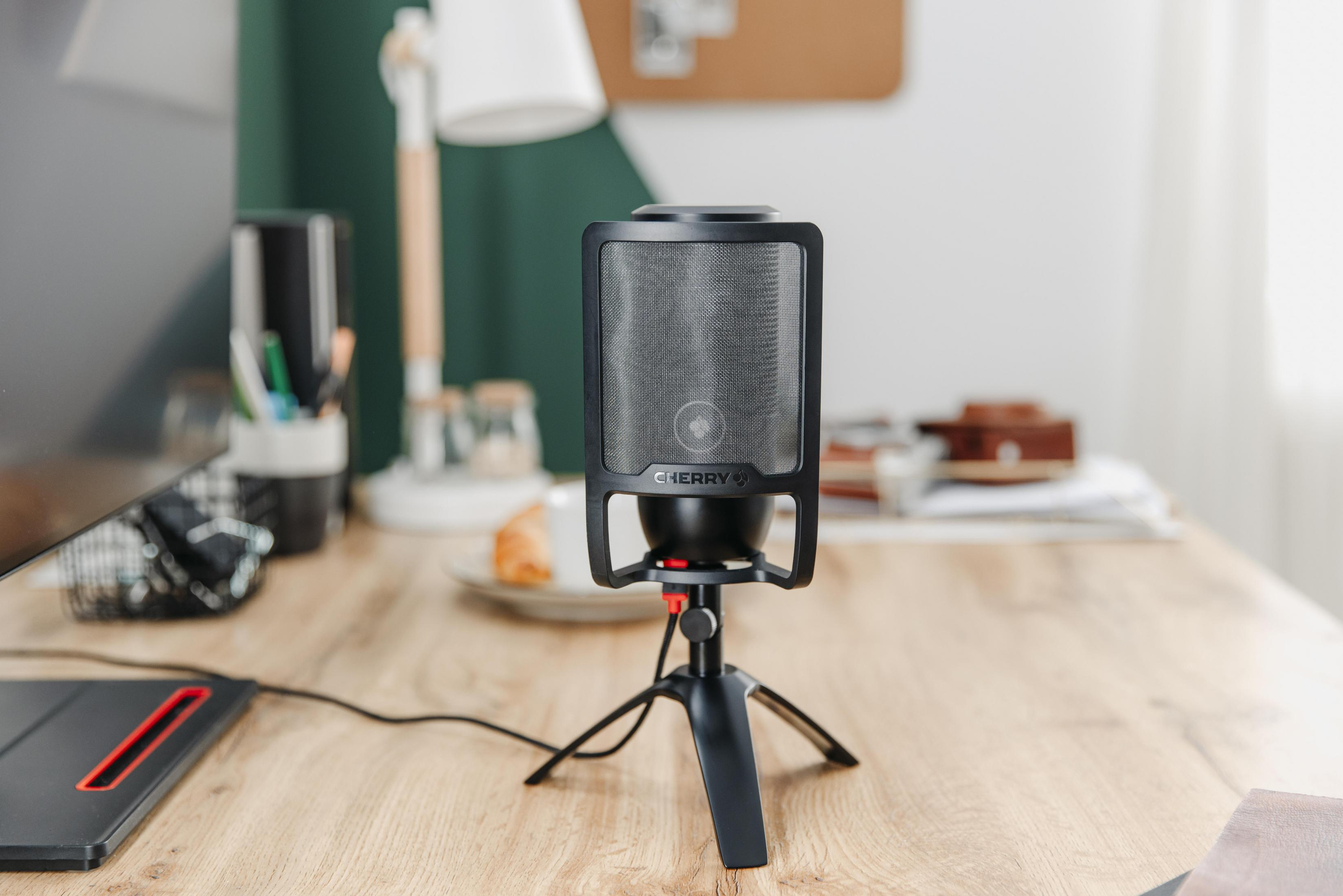 Mikrofon auf einem Holztisch, in der Nähe eines Monitors und einer Lampe. Verschwommener Hintergrund.