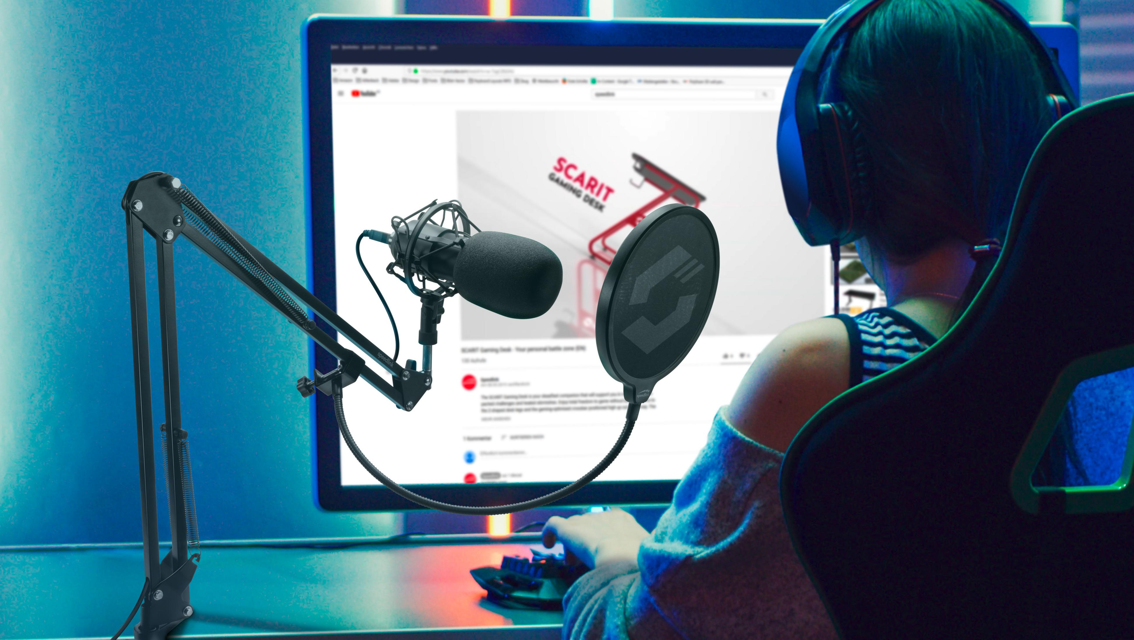 Person spielt Computerspiel, Mikrofon und Monitor im Fokus.