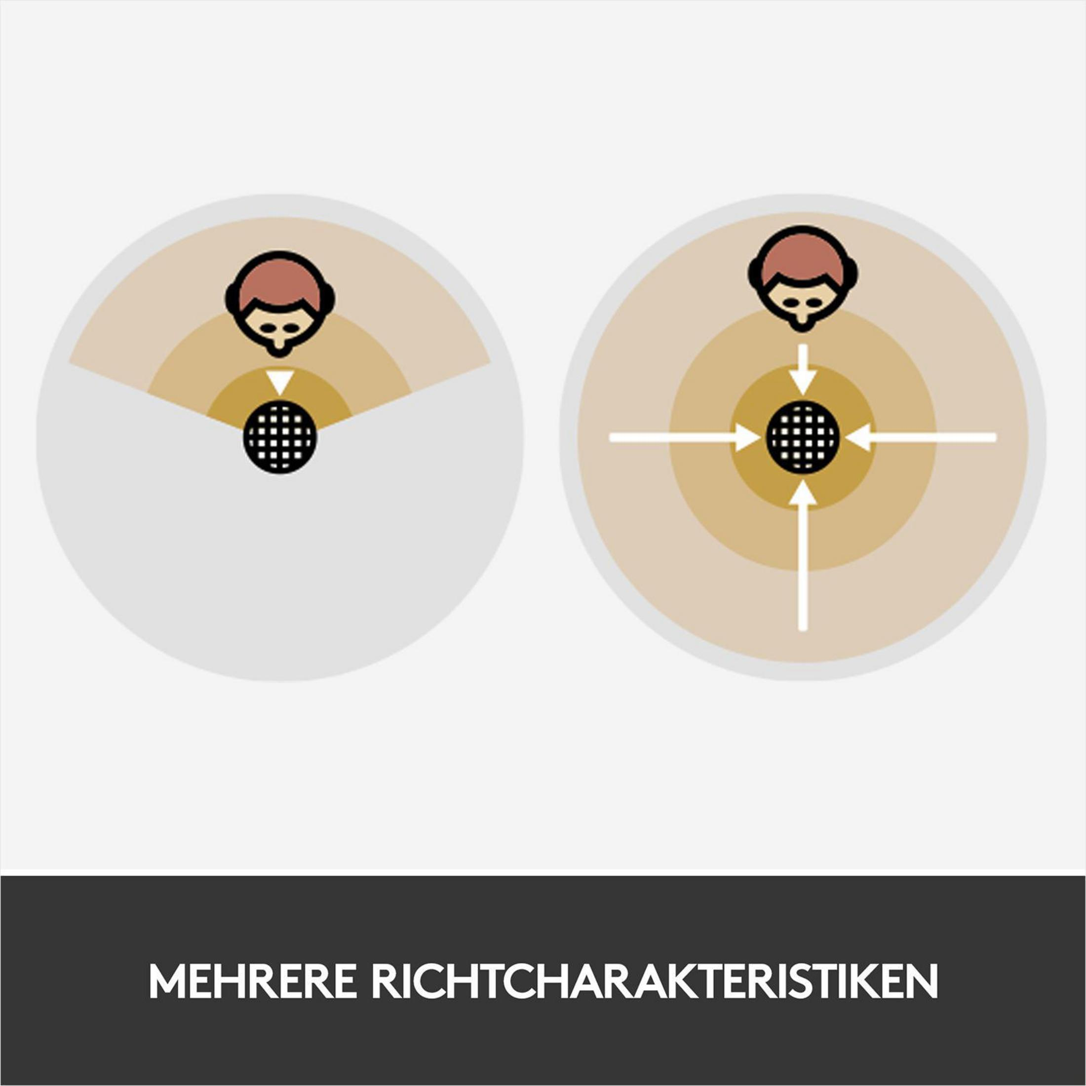 Zwei Diagramme, Mikrofone. Einmal Niere, einmal Kugel.