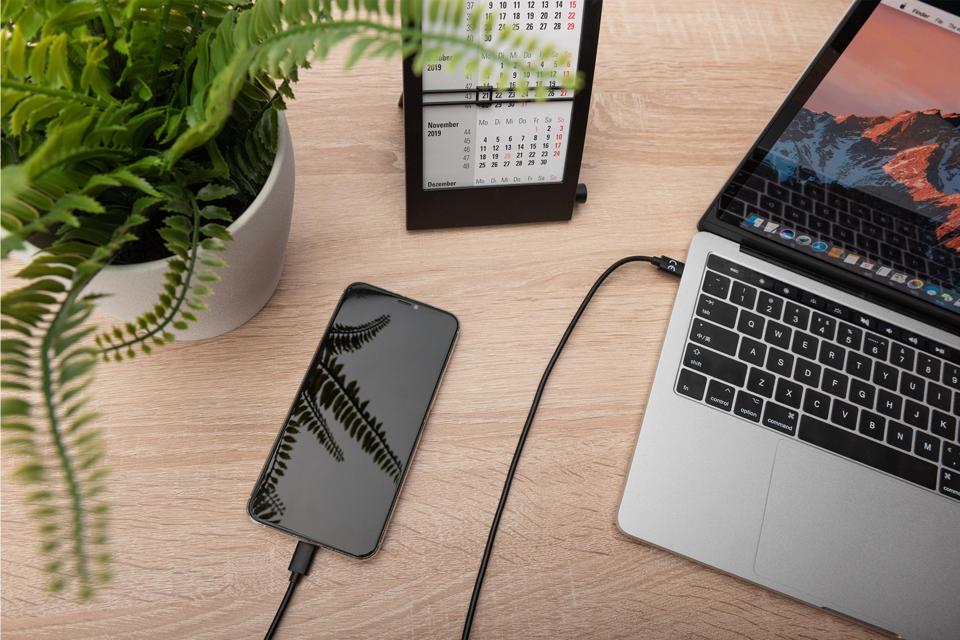 Telefono collegato a un laptop con un cavo. Calendario e pianta sul tavolo.