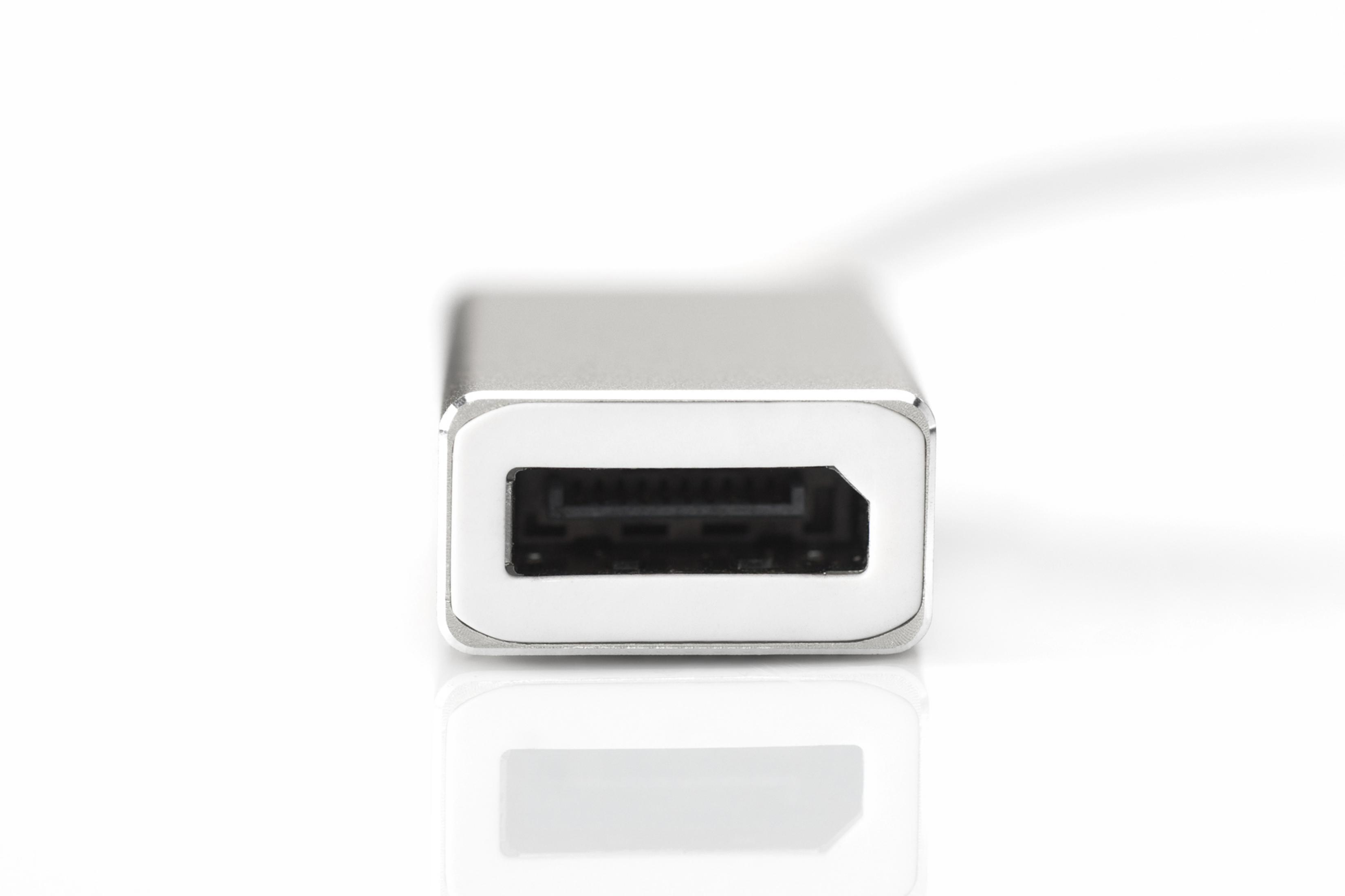 Silberfarbener DisplayPort-Anschluss mit weißem Rand um den Anschluss.
