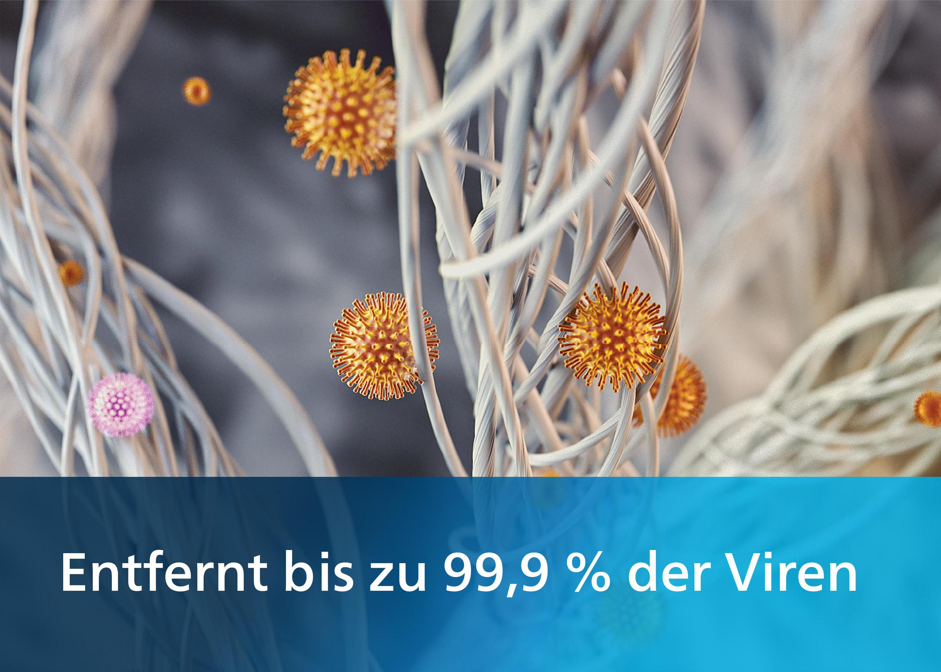 Primo piano dei virus. Il testo recita: