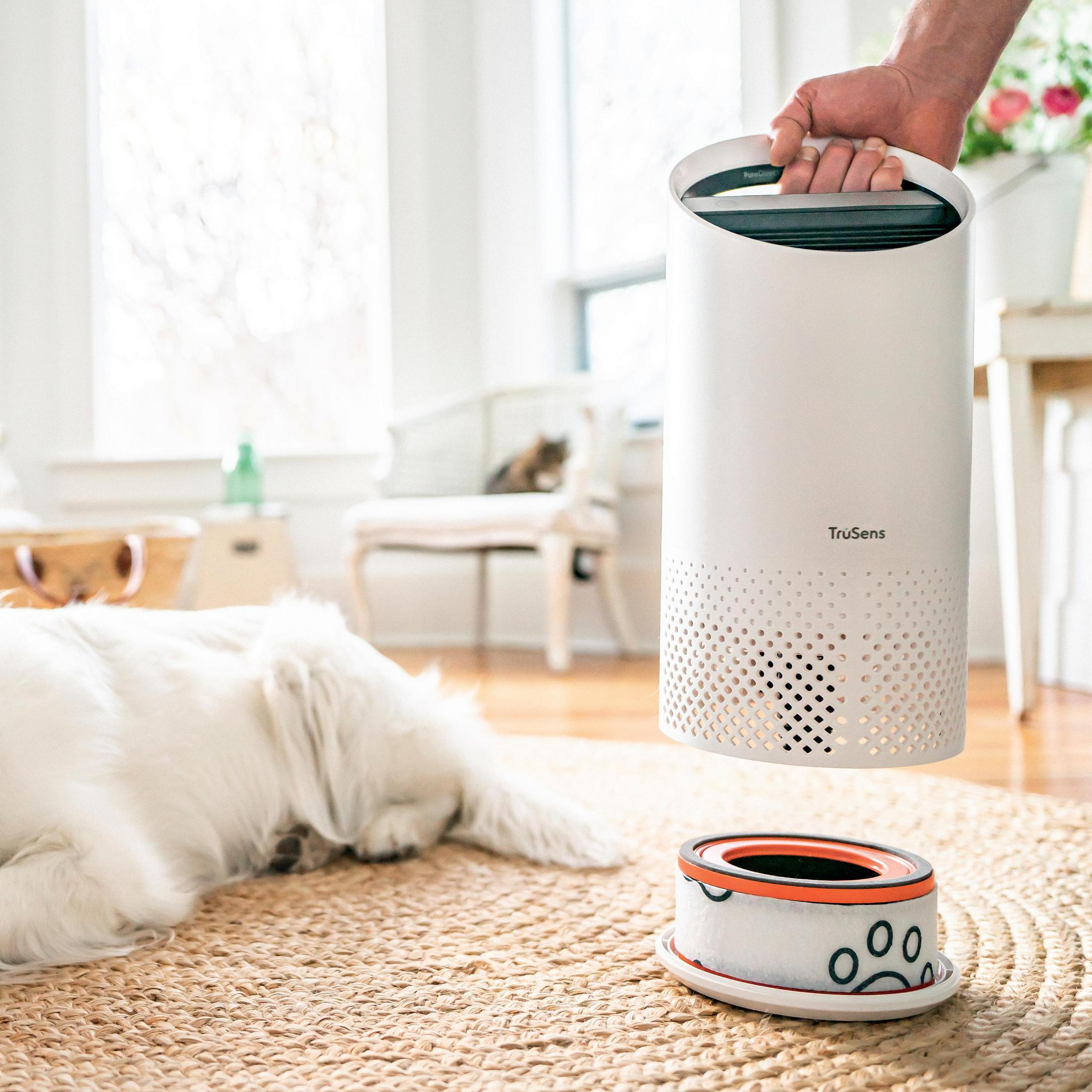 Biały oczyszczacz powietrza z filtrem i psem leżącym na podłodze.