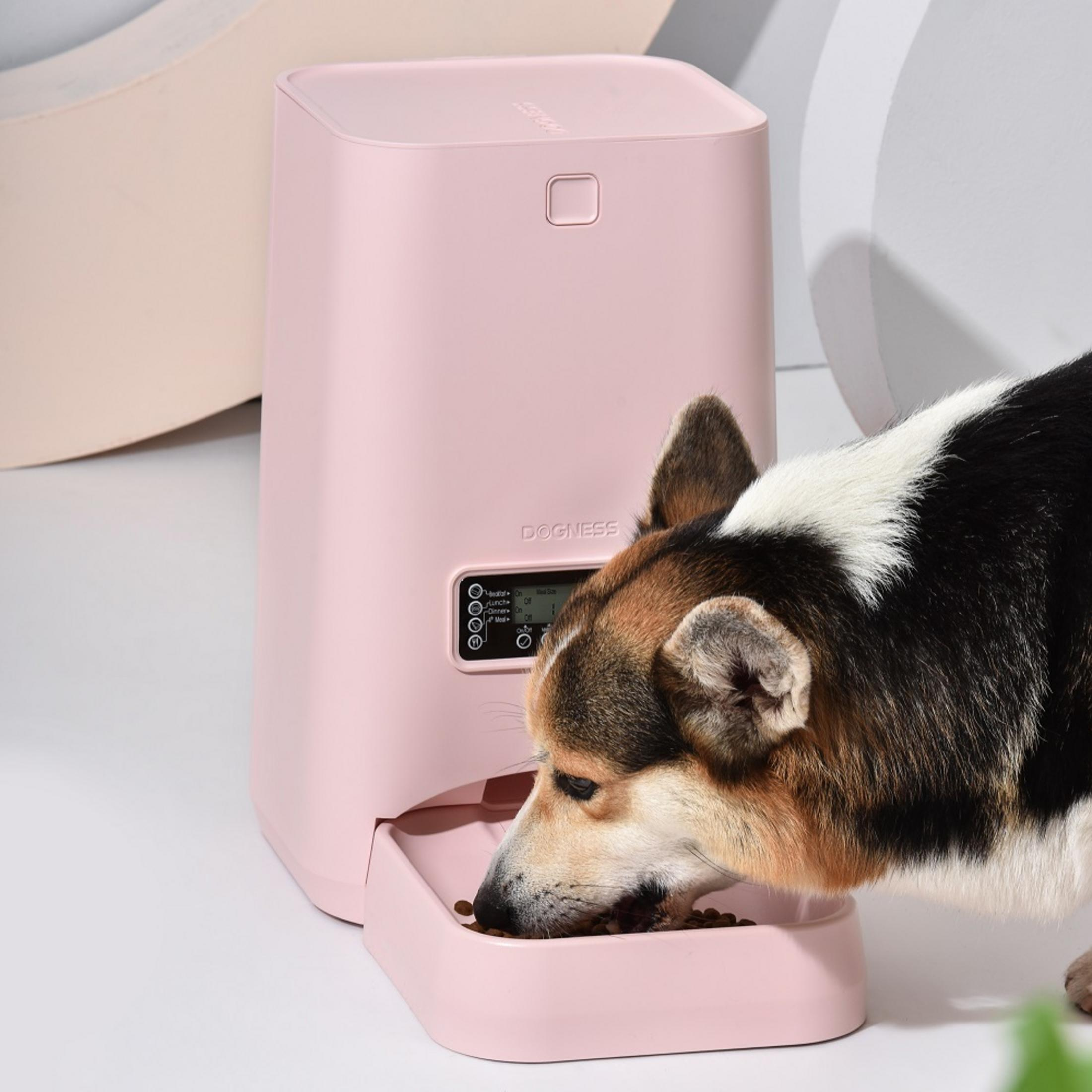 Ein pinkfarbener Haustierfutterspender, ein Hund isst daraus, drinnen auf heller Oberfläche.